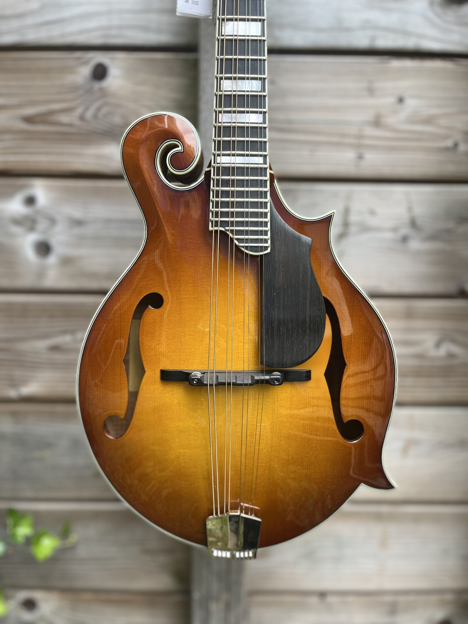 Eastman Eastman MD615 Goldburst F-Style Mandolin