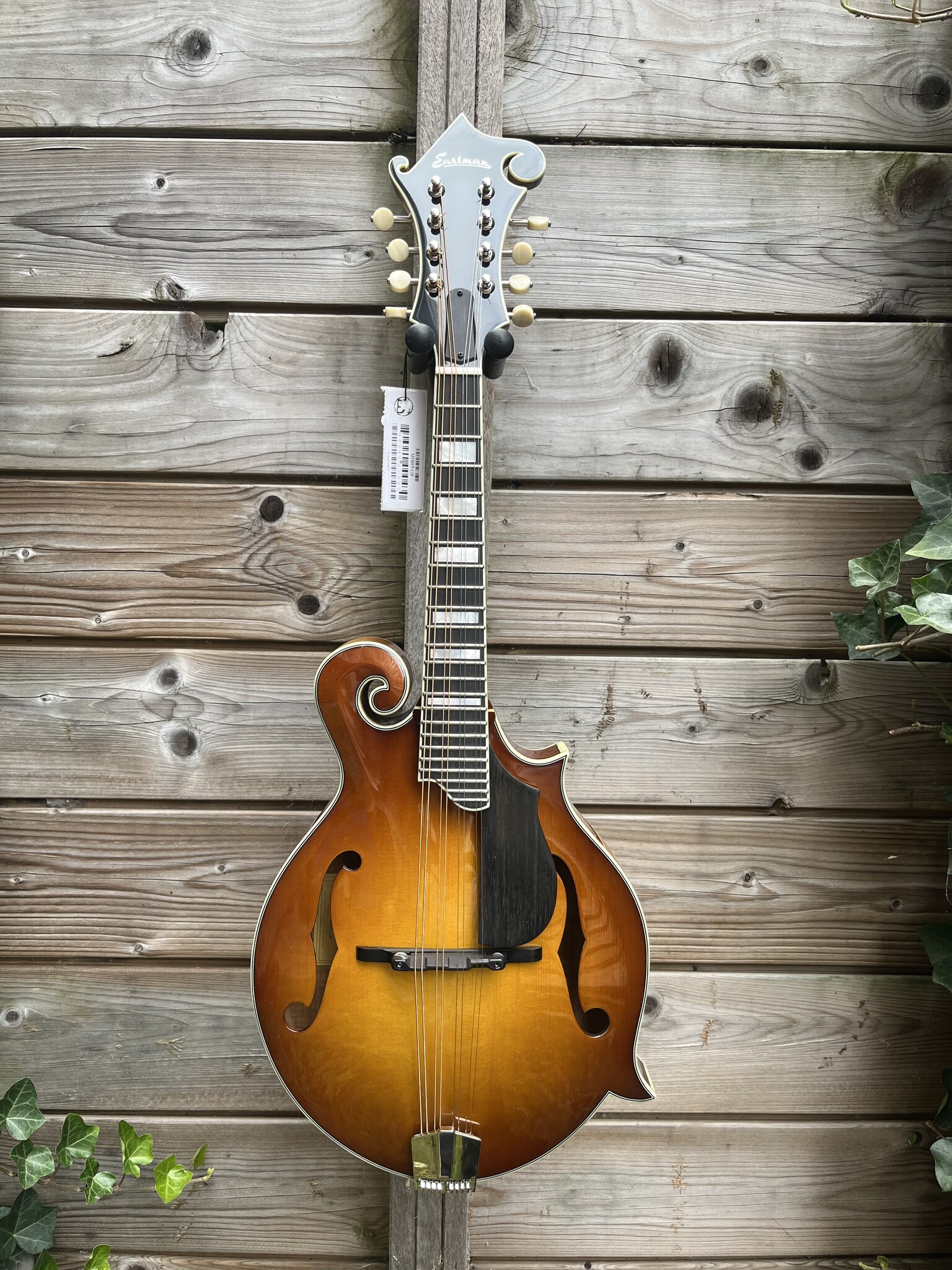 Eastman Eastman MD615 Goldburst F-Style Mandolin