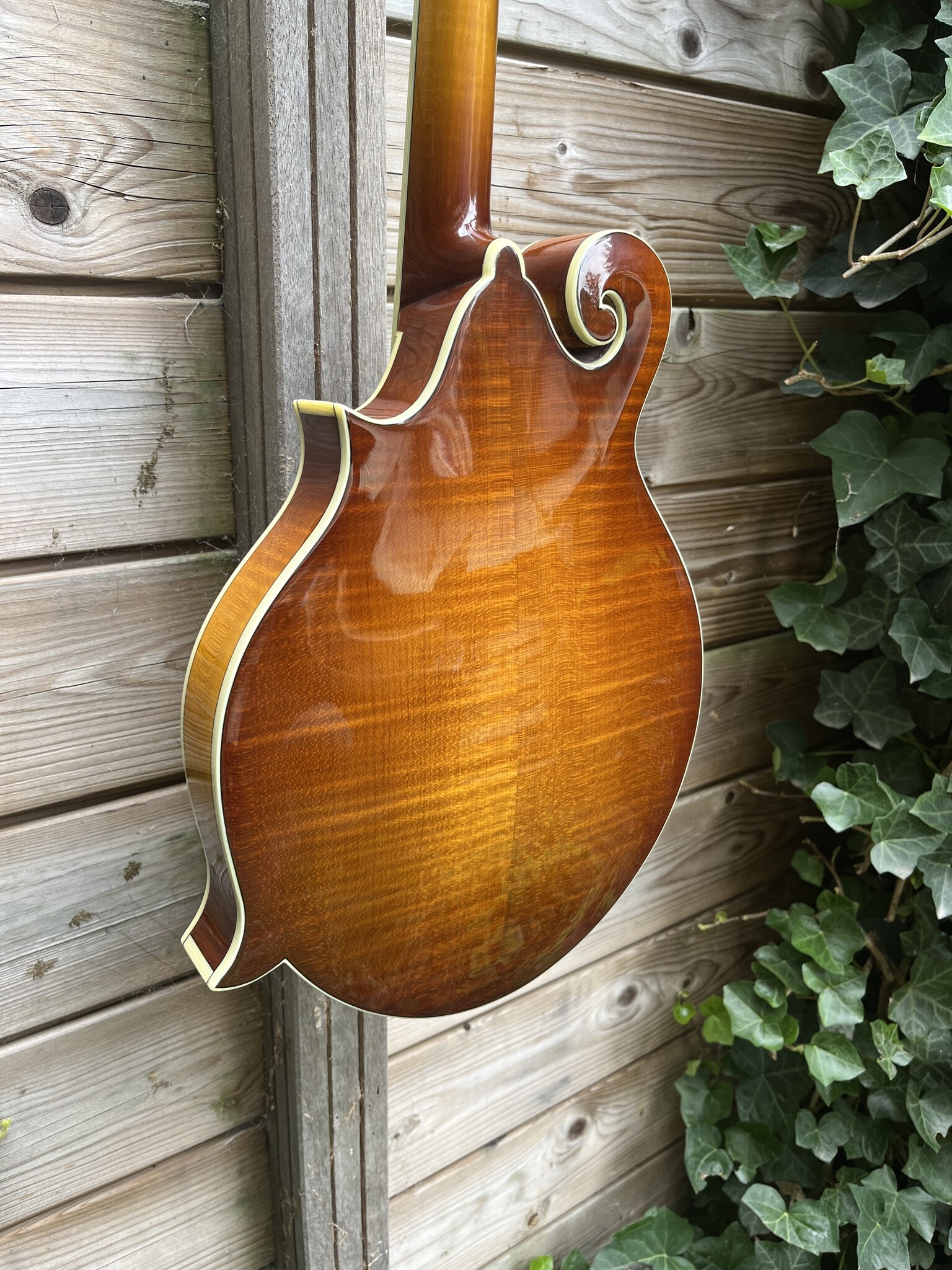 Eastman Eastman MD615 Goldburst F-Style Mandolin