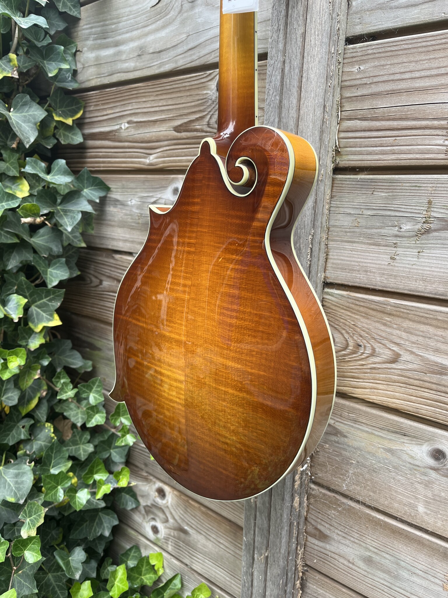 Eastman Eastman MD615 Goldburst F-Style Mandolin