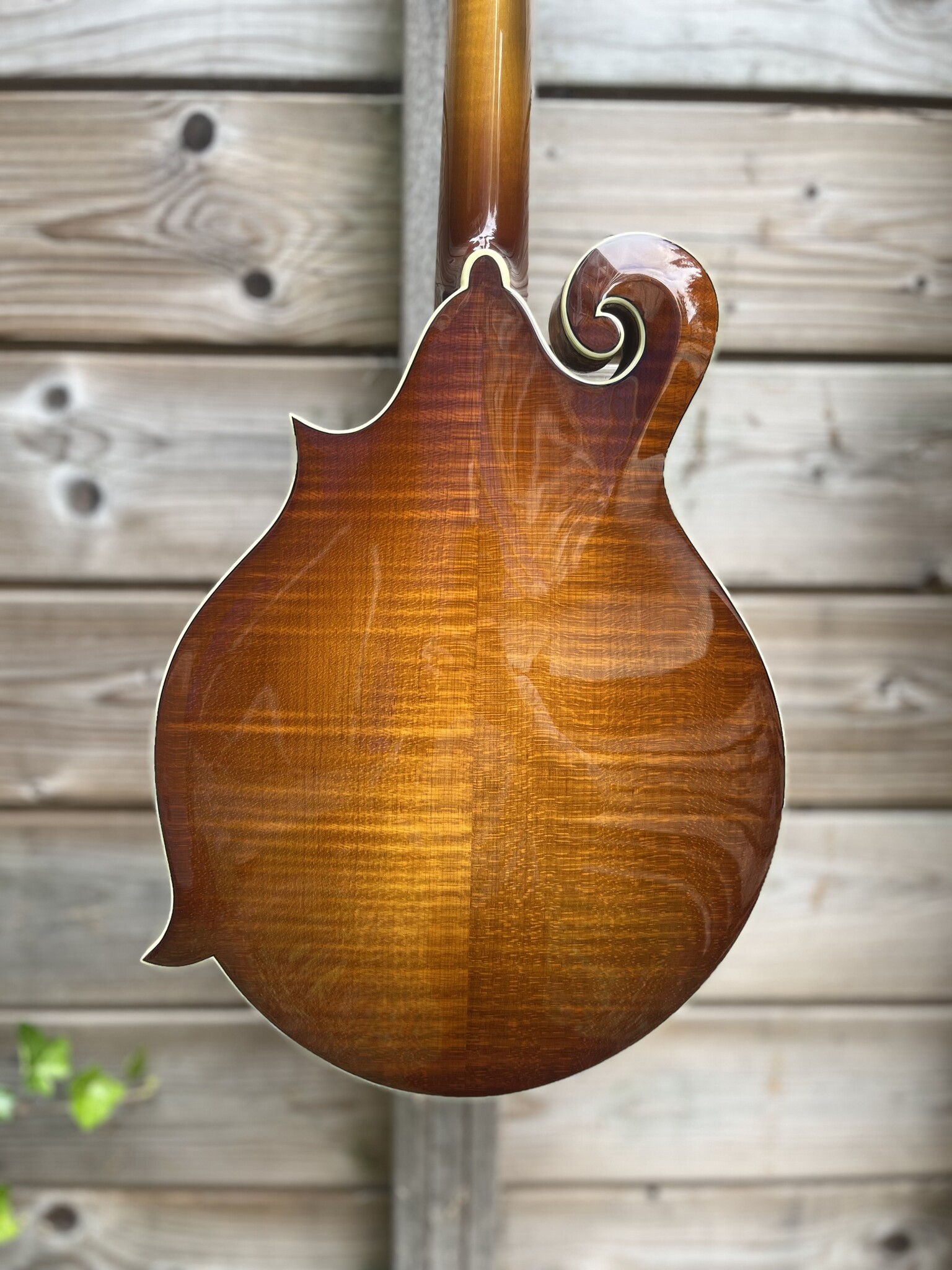 Eastman Eastman MD615 Goldburst F-Style Mandolin