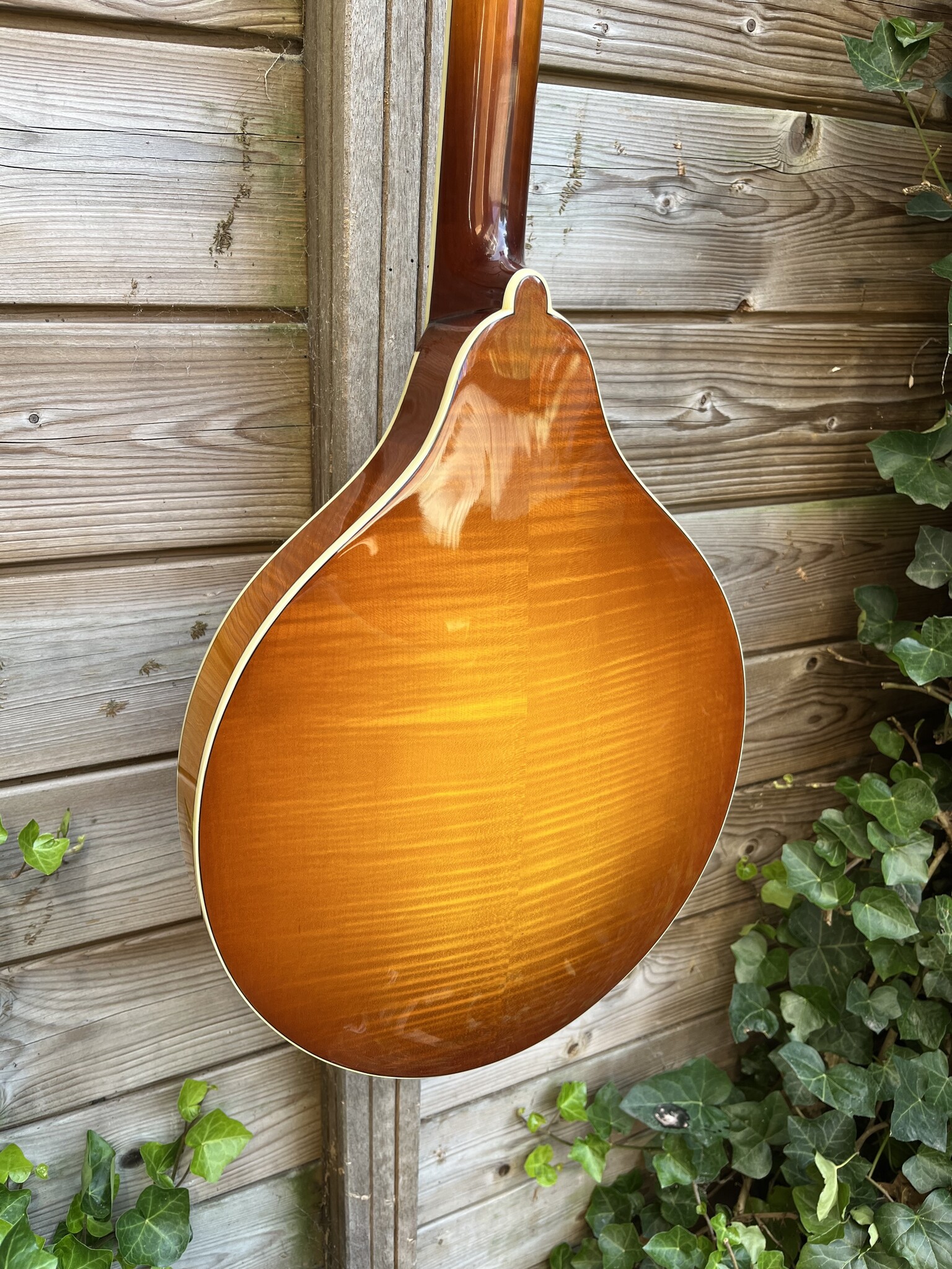 Eastman Eastman MDO605 Goldburst Octave Mandolin