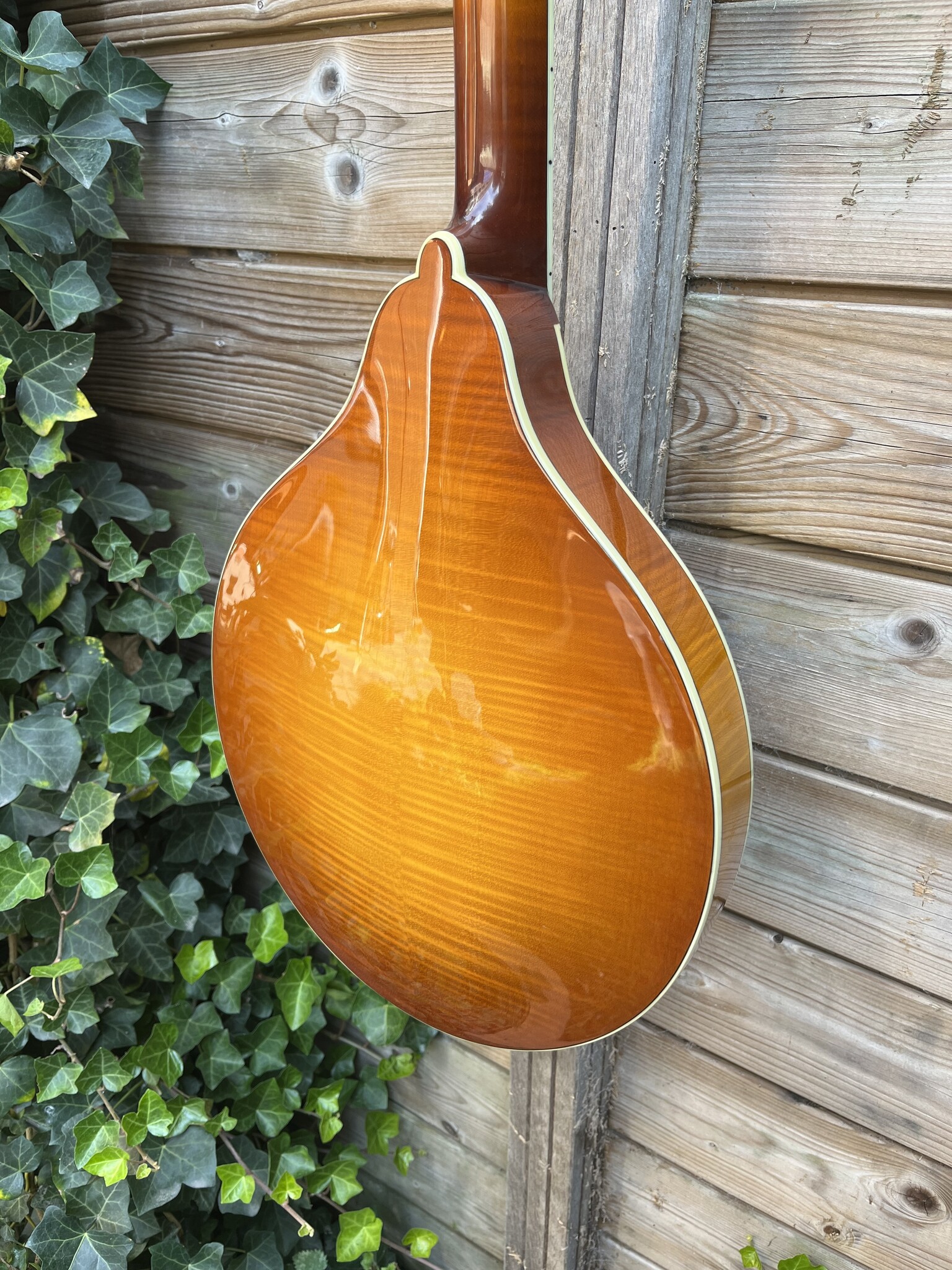 Eastman Eastman MDO605 Goldburst Octave Mandolin