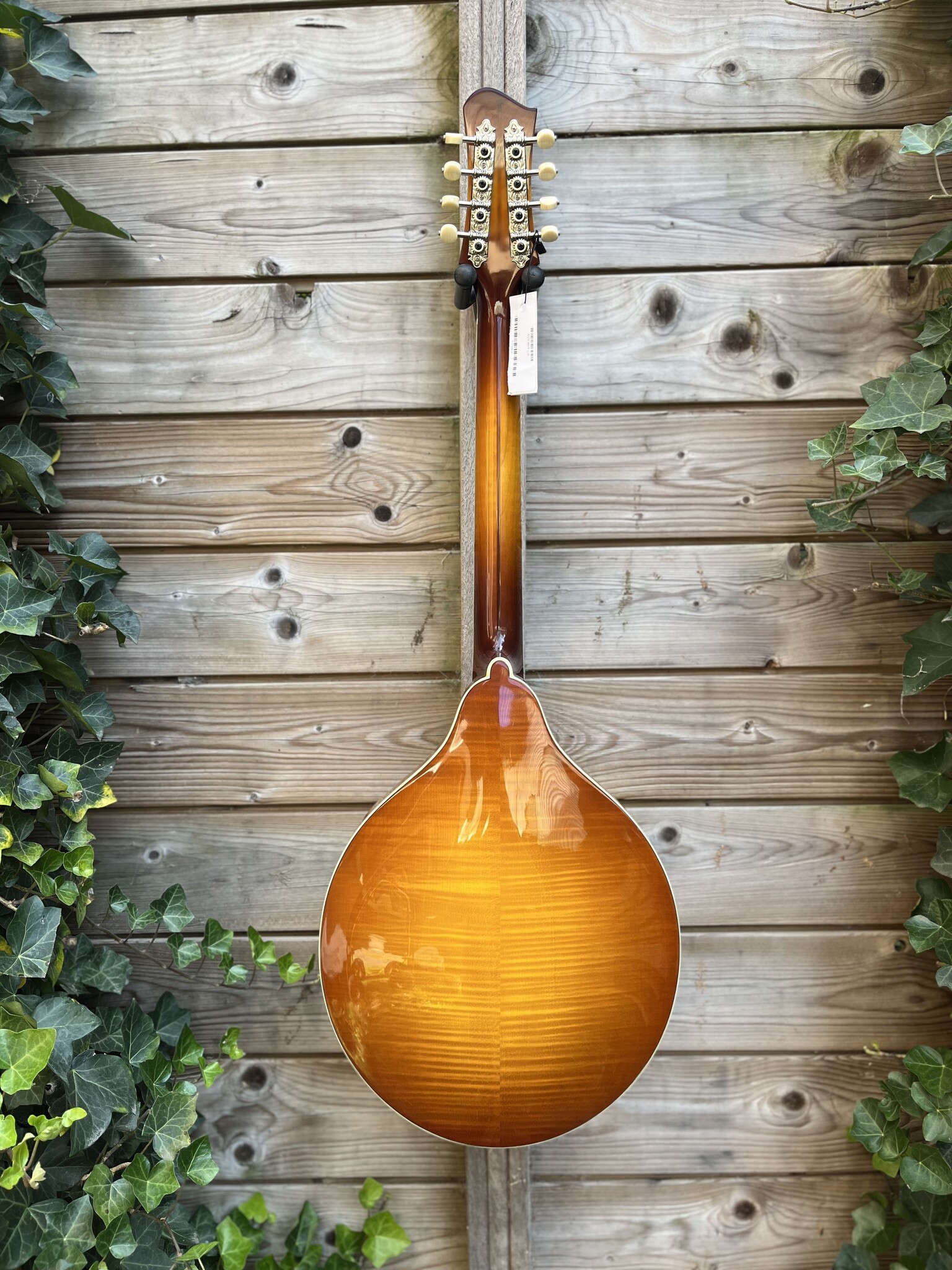 Eastman Eastman MDO605 Goldburst Octaaf Mandoline