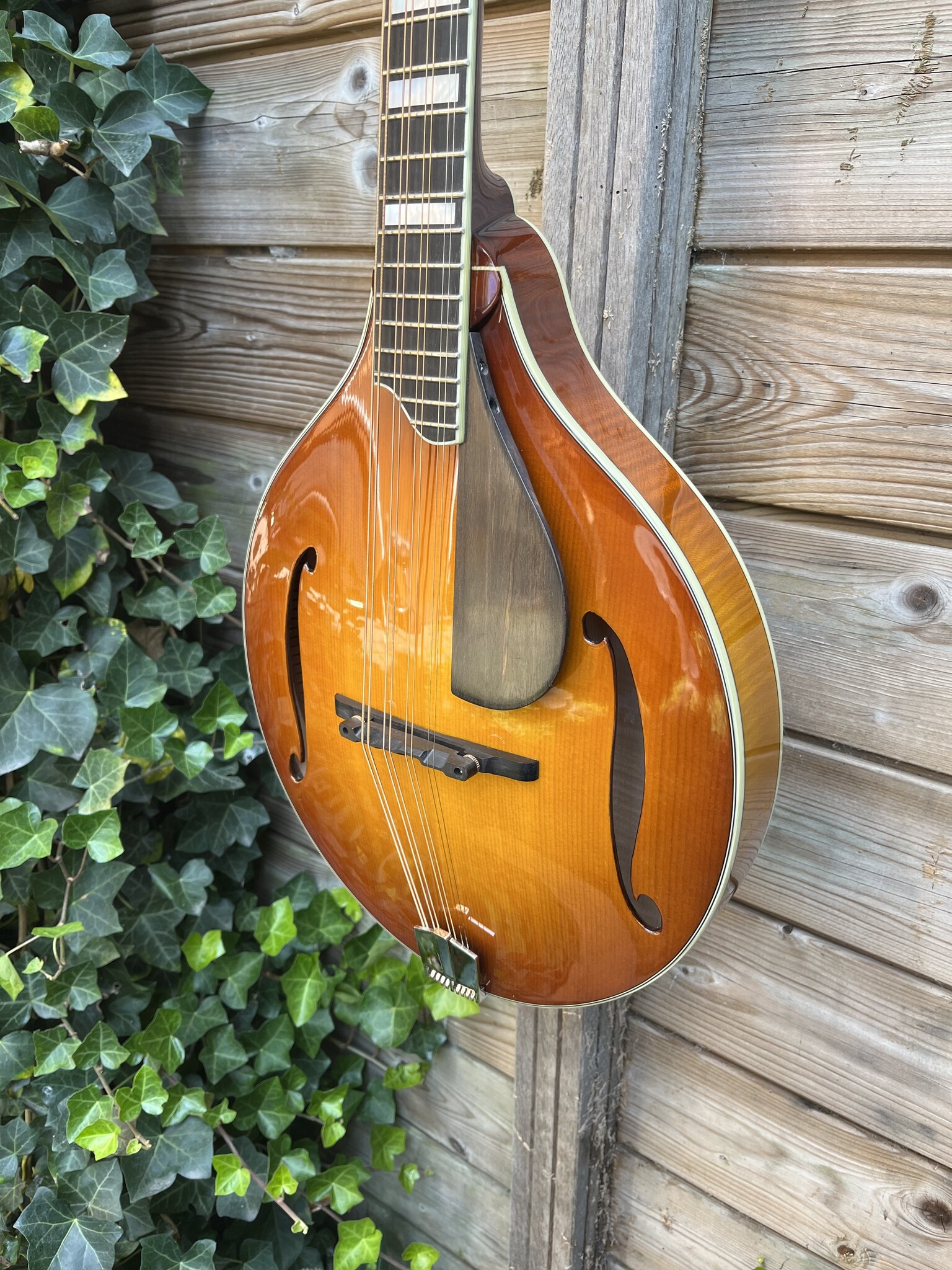 Eastman Eastman MDO605 Goldburst Octave Mandolin