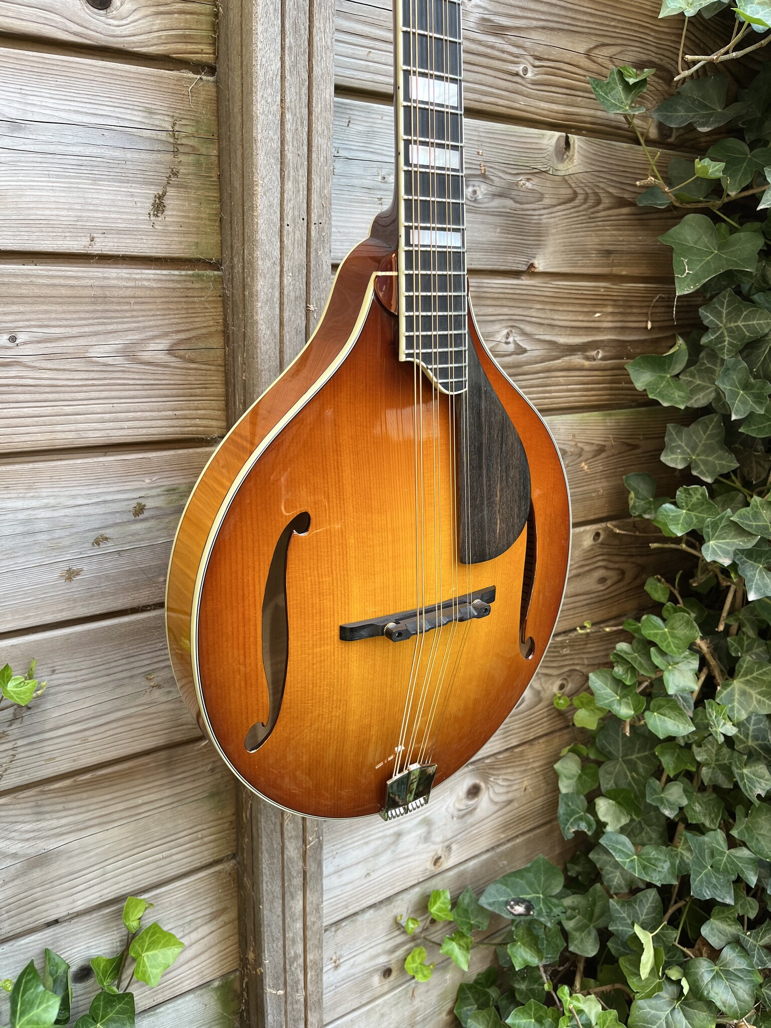 Eastman Eastman MDO605 Goldburst Octave Mandolin