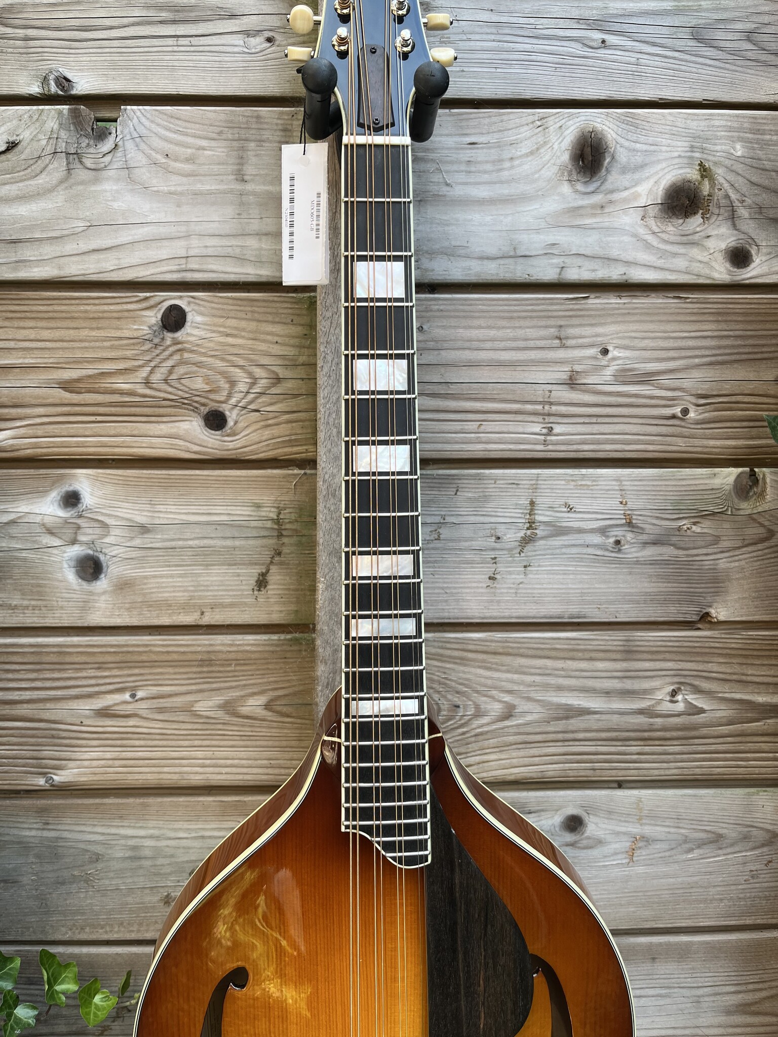 Eastman Eastman MDO605 Goldburst Octave Mandolin