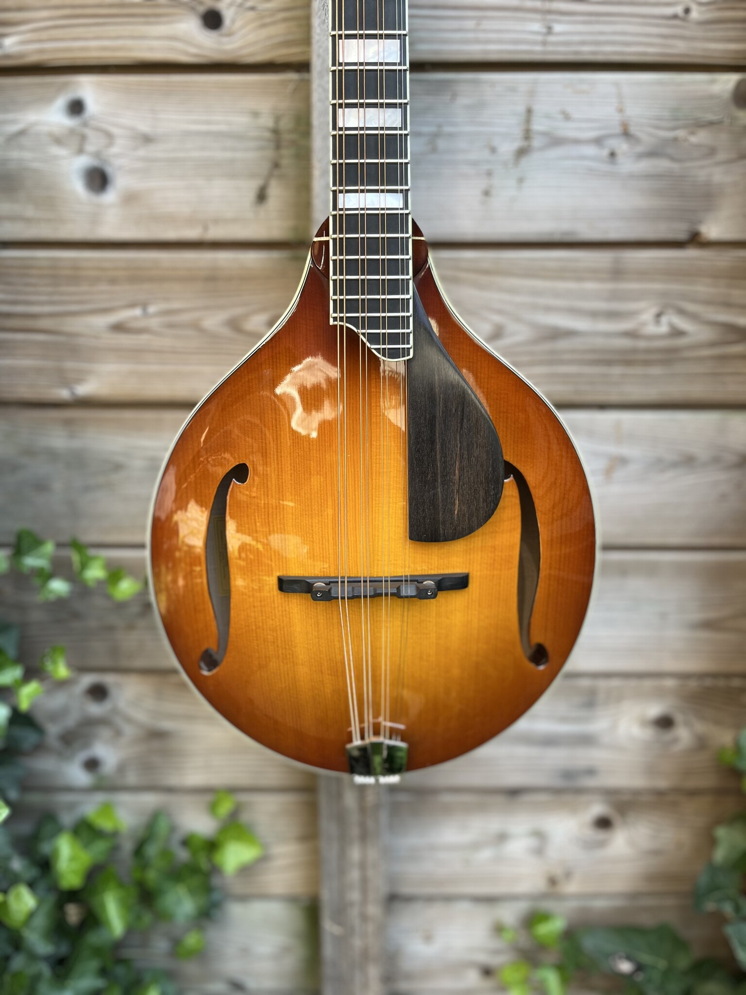 Eastman Eastman MDO605 Goldburst Octave Mandolin