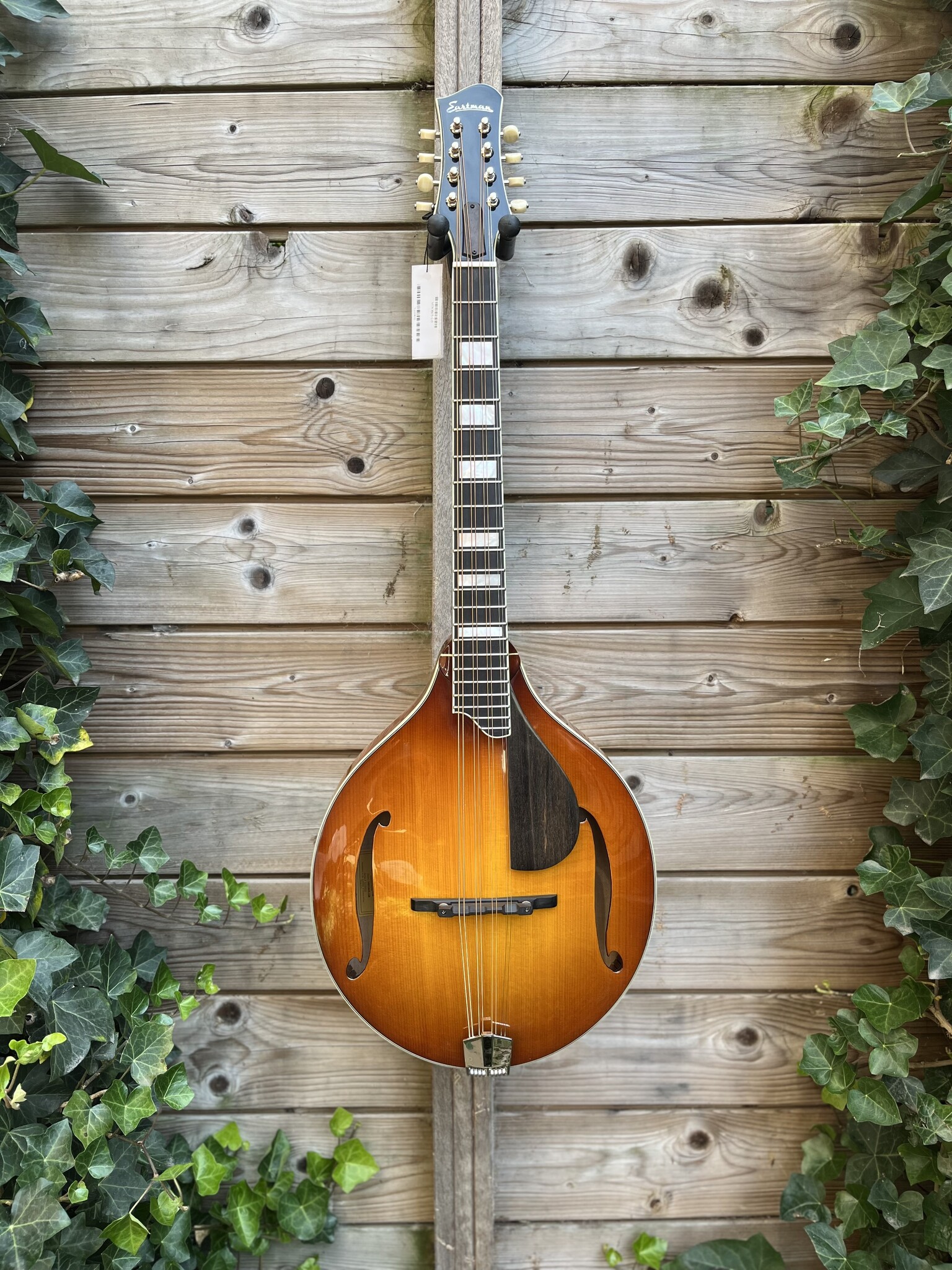 Eastman Eastman MDO605 Goldburst Octave Mandolin