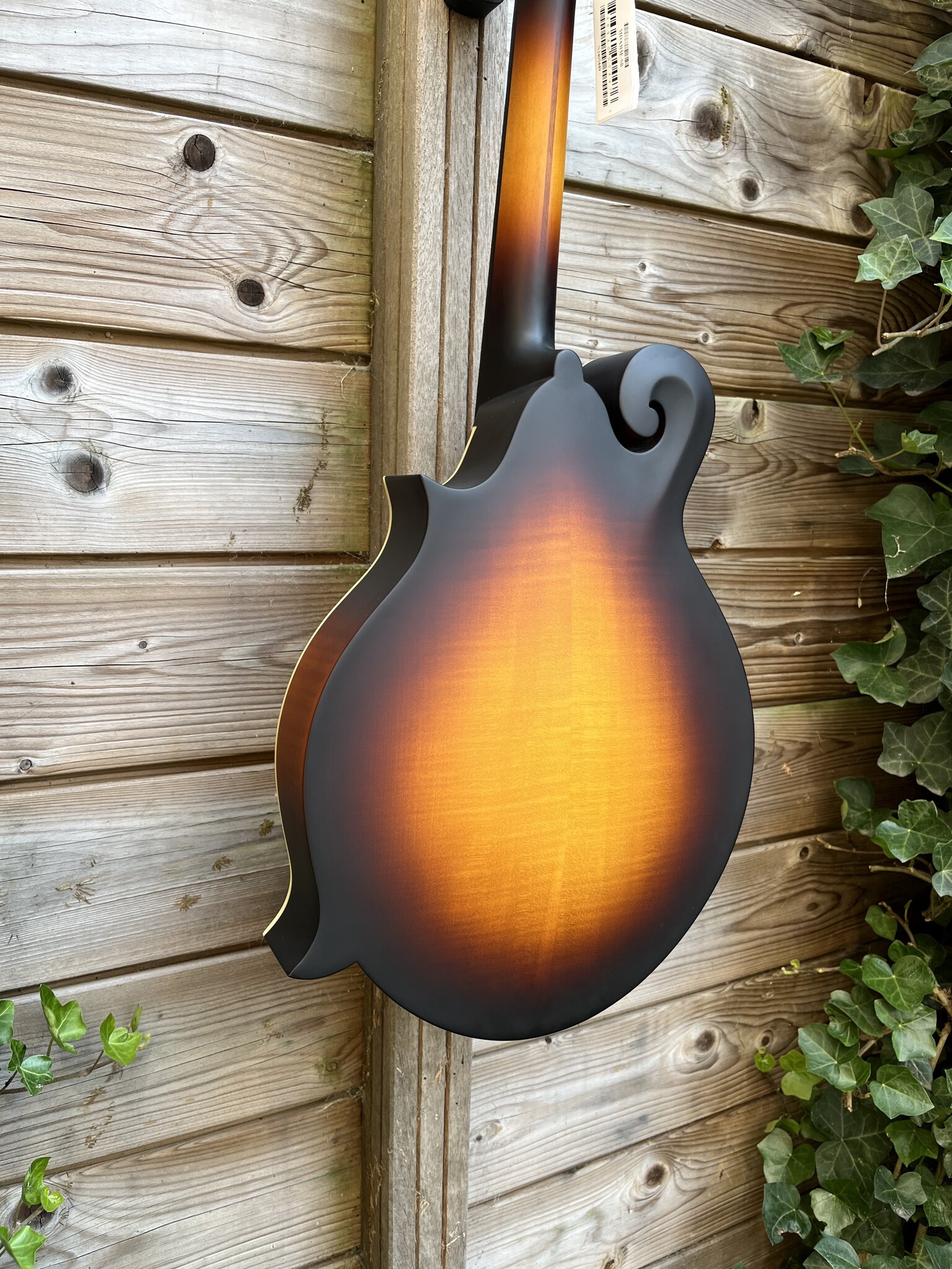 Eastman Eastman MDA315E Sunburst F-Style Mandola