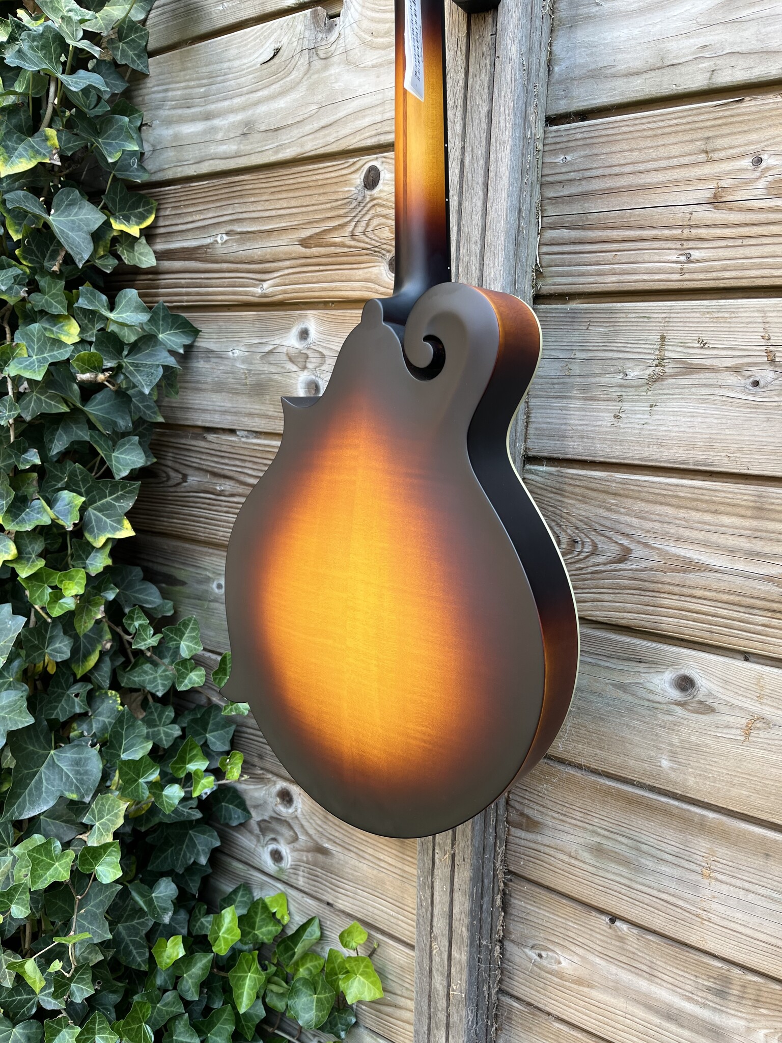 Eastman Eastman MDA315E Sunburst F-Style Mandola