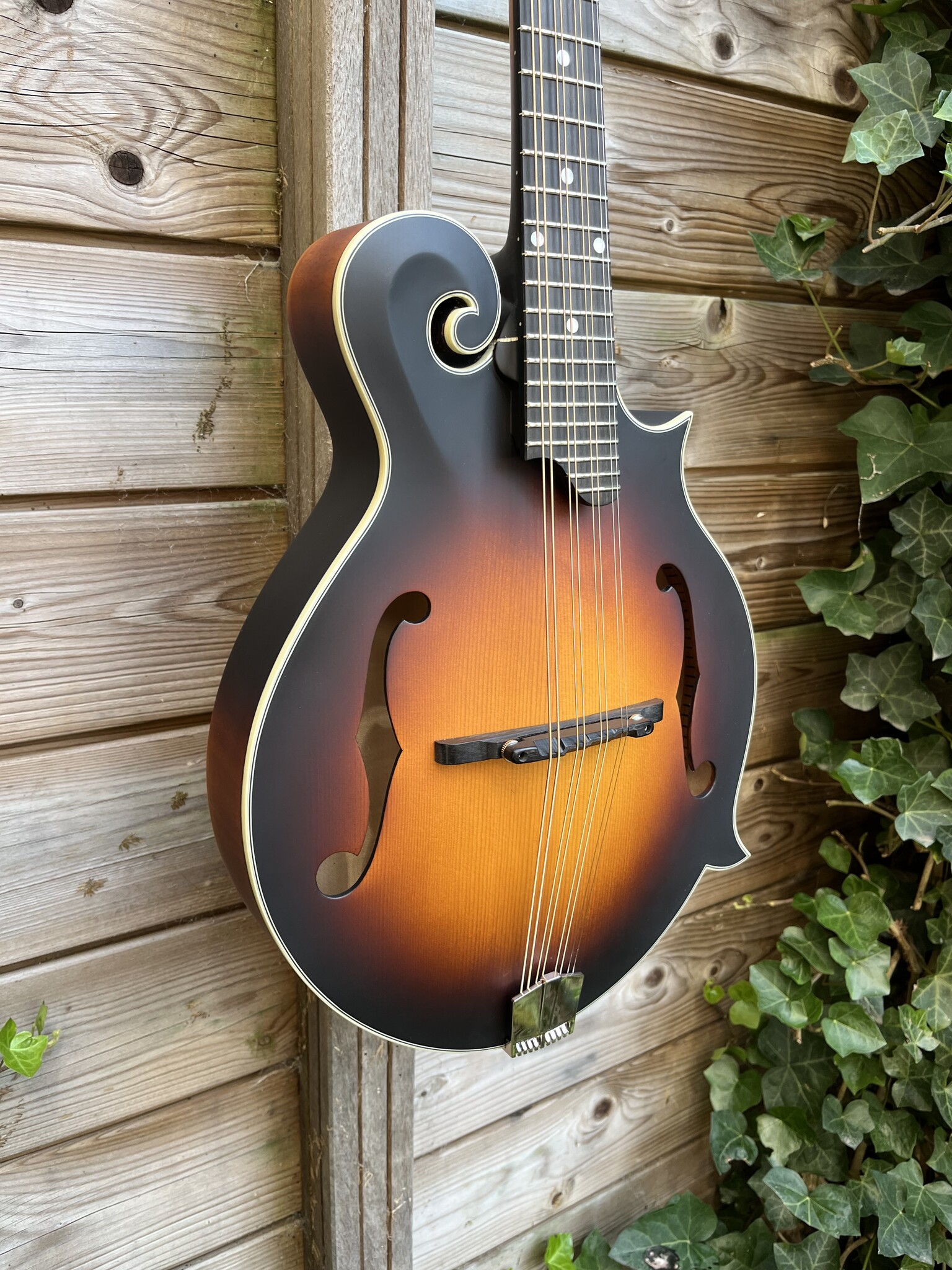 Eastman Eastman MDA315E Sunburst F-Style Mandola