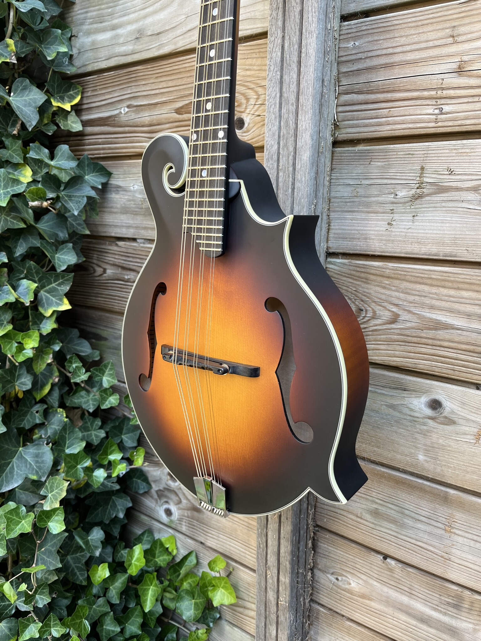 Eastman Eastman MDA315E Sunburst F-Style Mandola