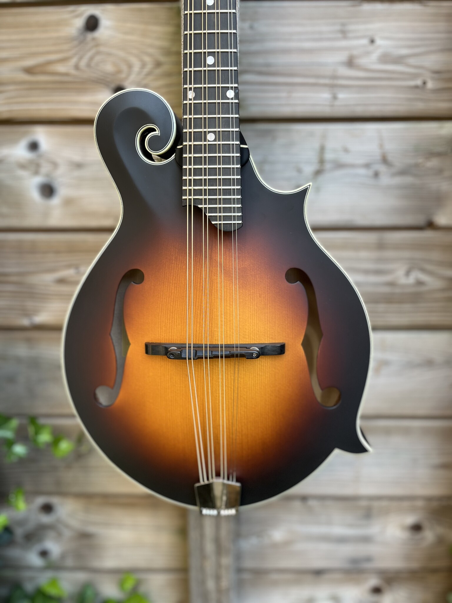 Eastman Eastman MDA315E Sunburst F-Style Mandola