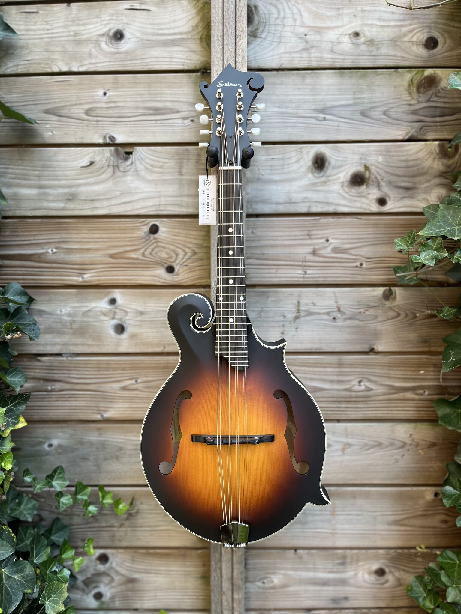 Eastman Eastman MDA315E Sunburst F-Style Mandola