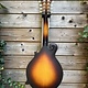 Eastman Eastman MDA315E Sunburst F-Style Mandola