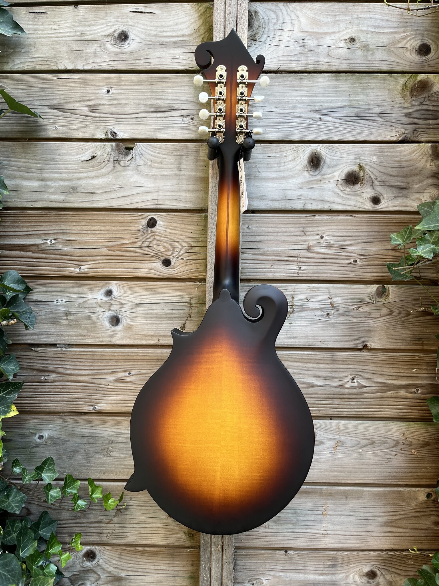 Eastman Eastman MDA315E Sunburst F-Style Mandola