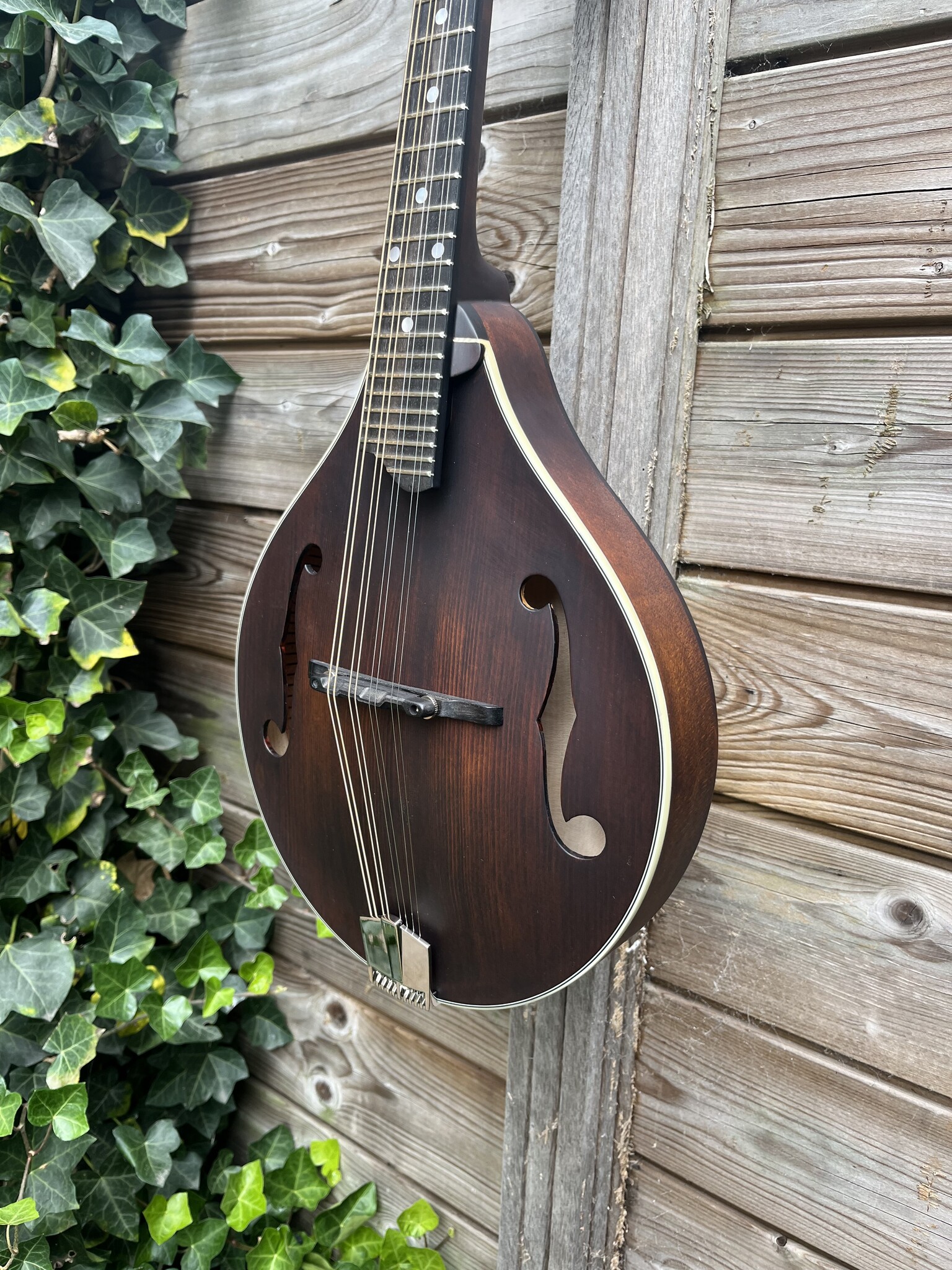 Eastman Eastman Mandoline MD305 A-style F-holes