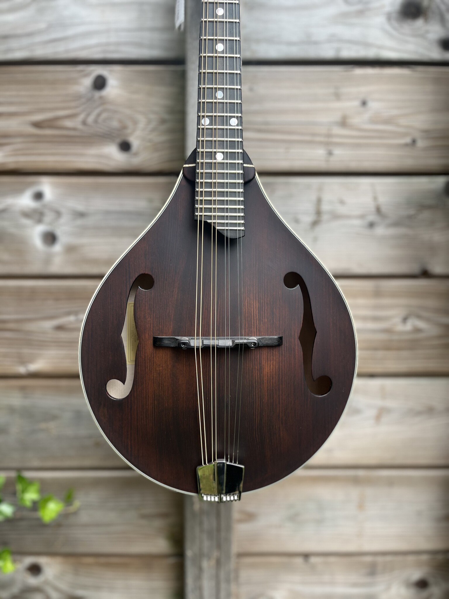 Eastman Eastman Mandoline MD305 A-style F-holes