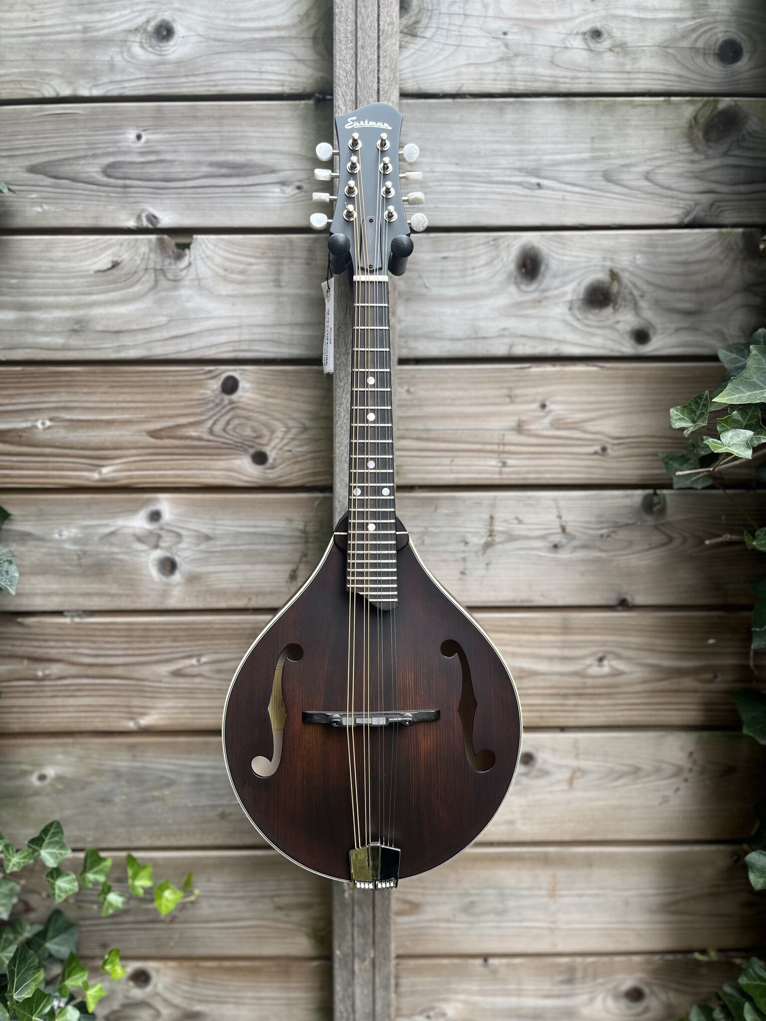 Eastman Eastman Mandoline MD305 A-style F-holes