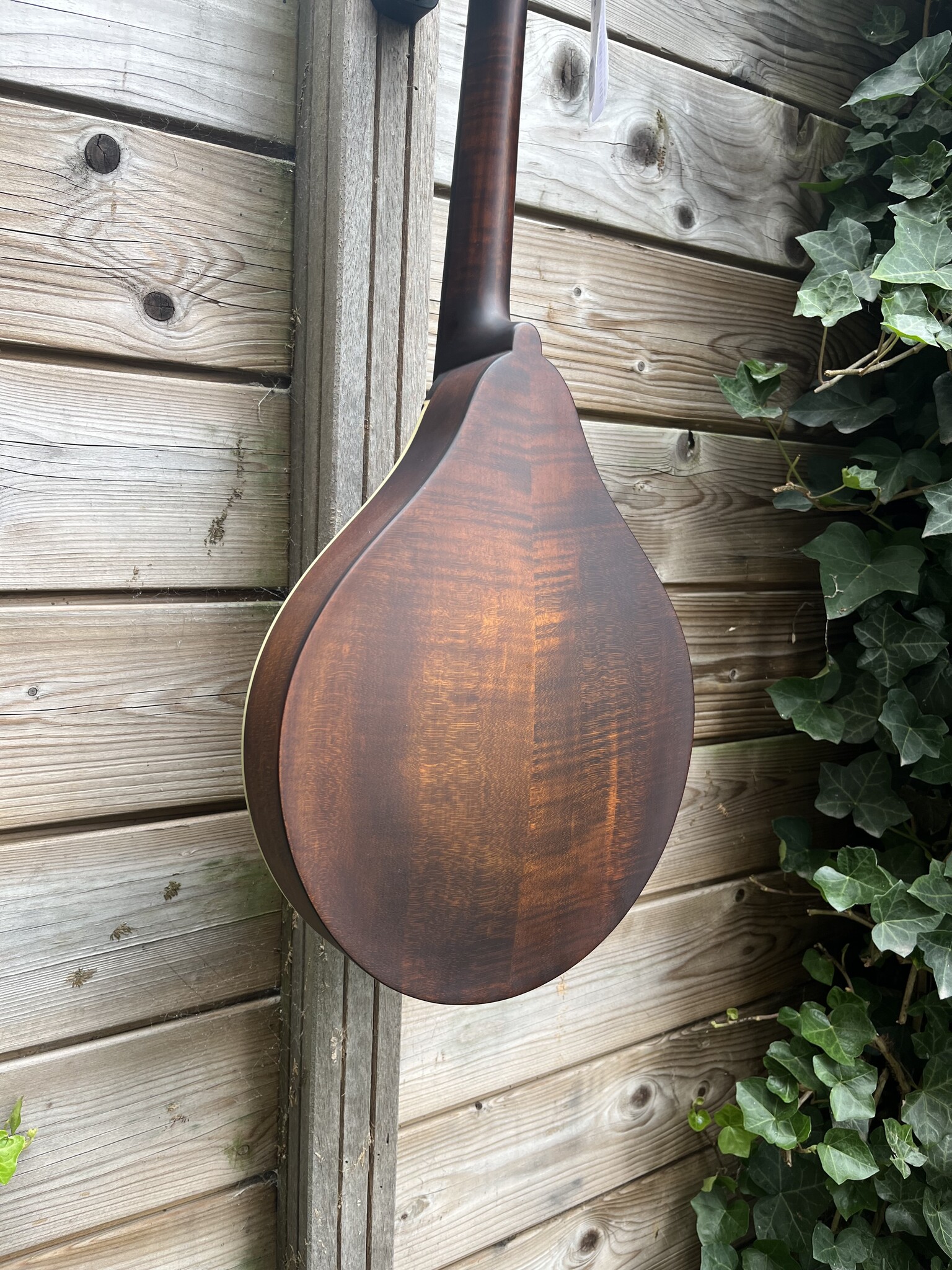 Eastman Eastman Mandoline MD305 A-style F-holes