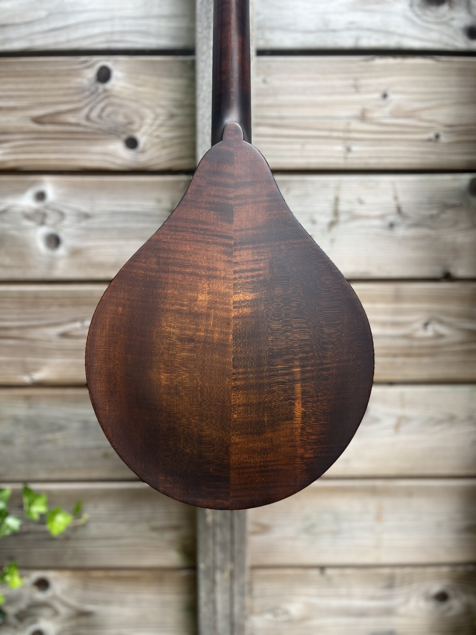 Eastman Eastman Mandoline MD305 A-style F-holes