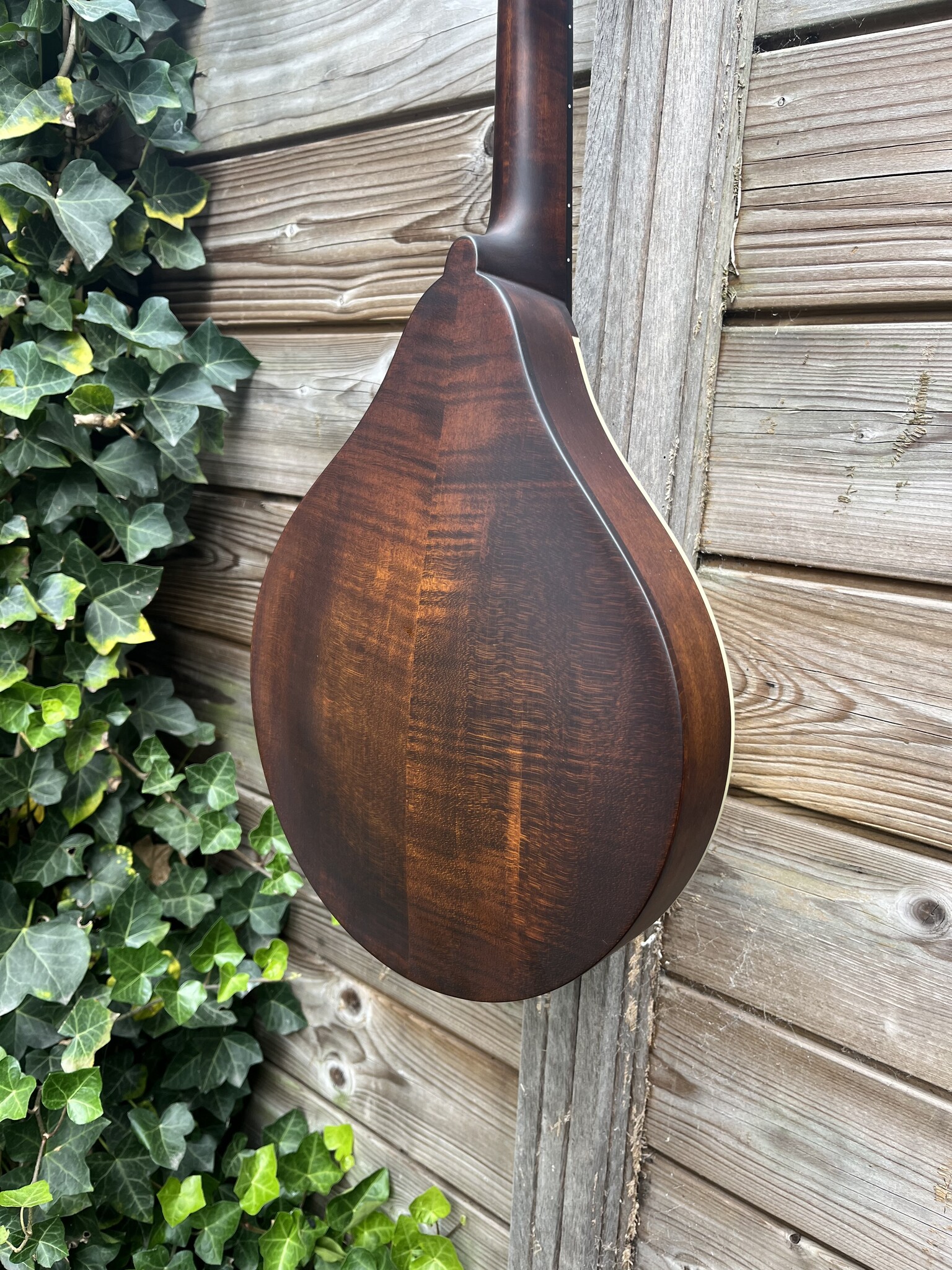 Eastman Eastman Mandoline MD305 A-style F-holes