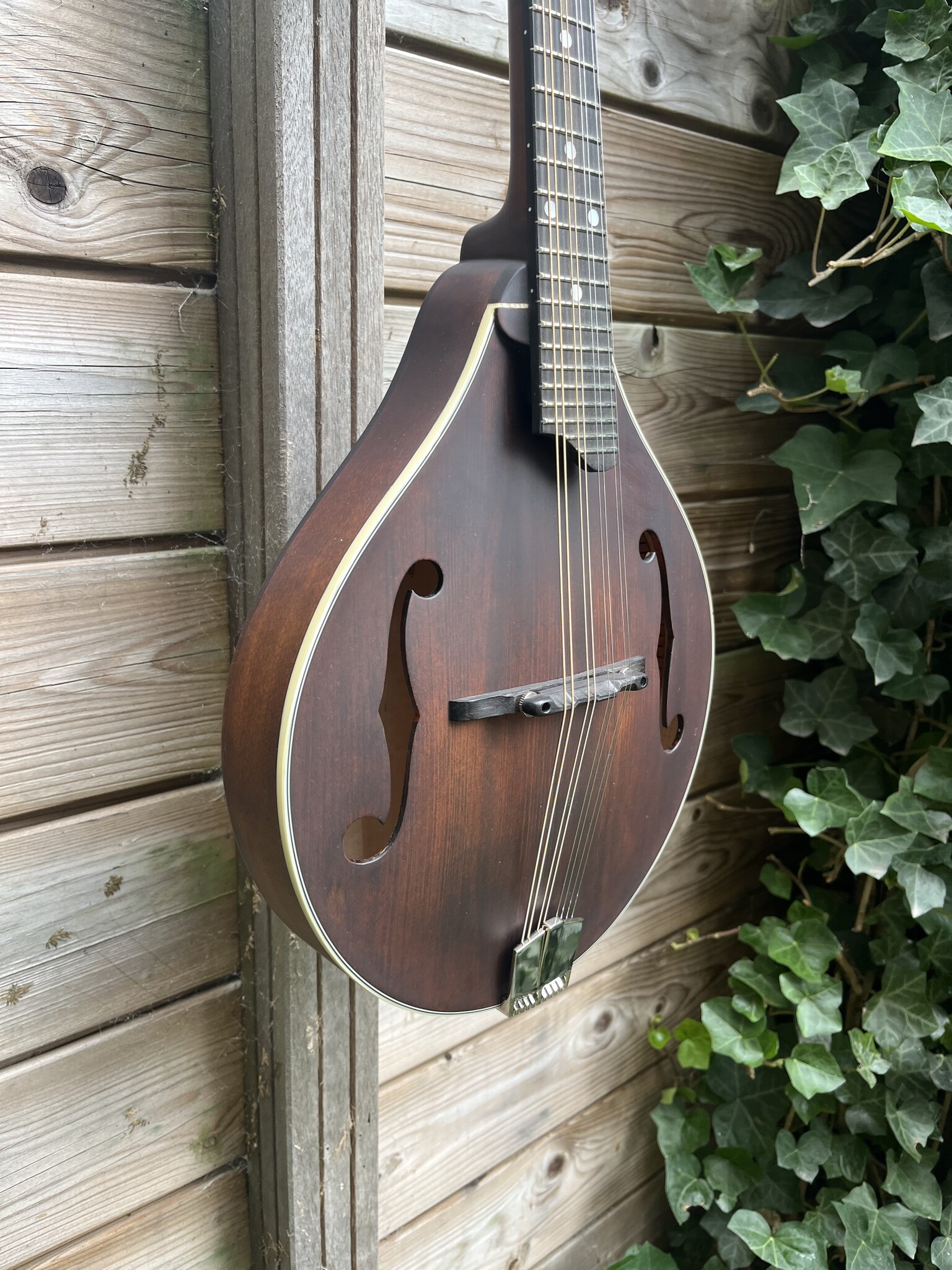 Eastman Eastman Mandoline MD305 A-style F-holes