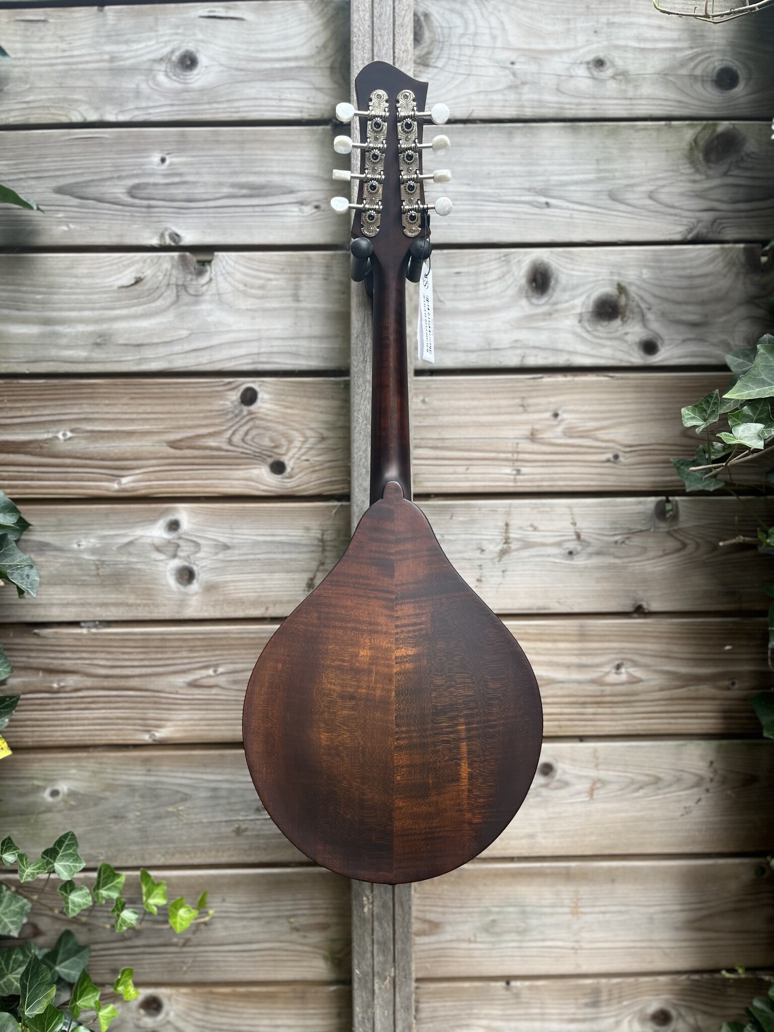 Eastman Eastman Mandoline MD305 A-style F-holes