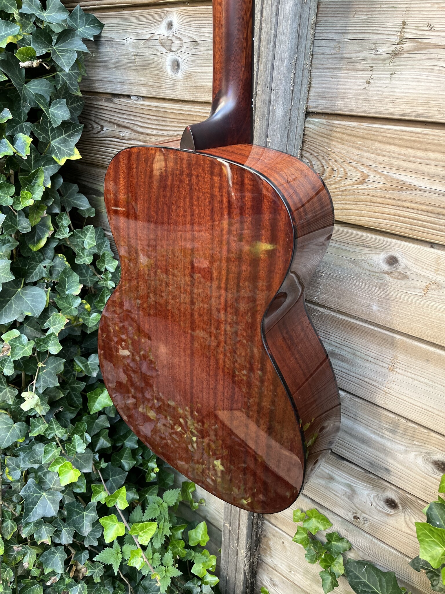 Eastman Eastman E1 OM-DLX