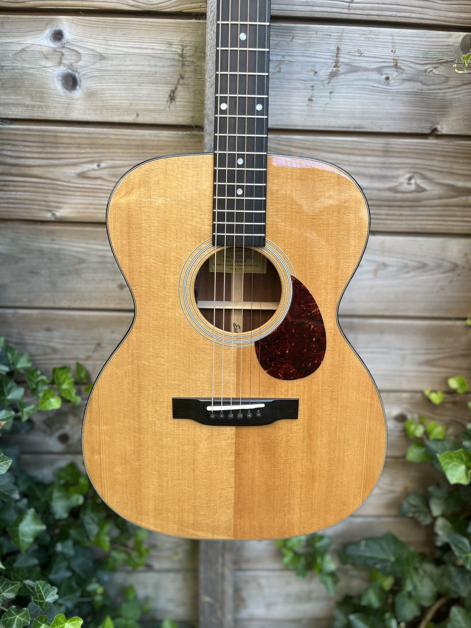 Eastman Eastman E1 OM-DLX