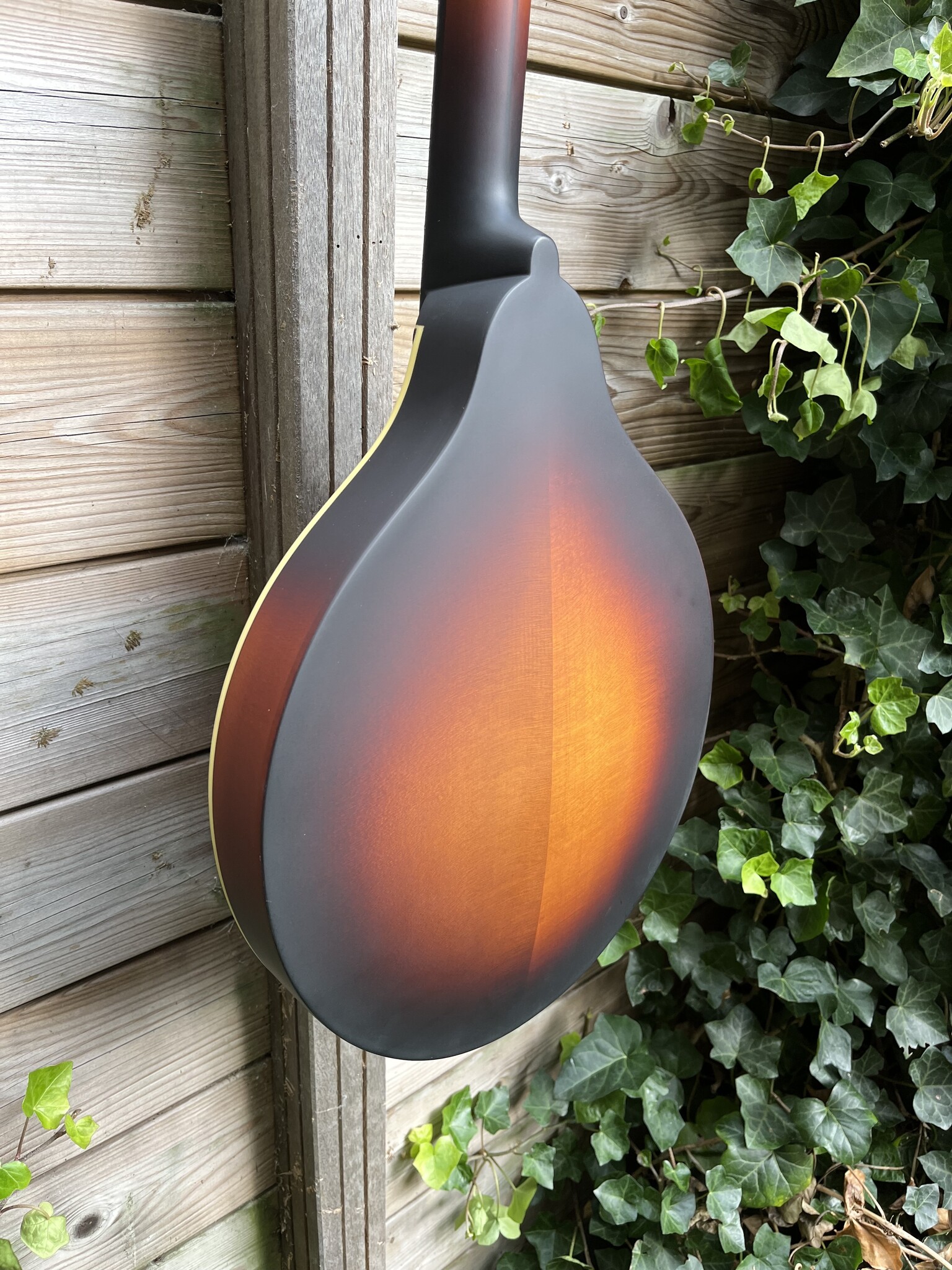 Eastman Eastman MDO305E-SB Octaaf Mandoline