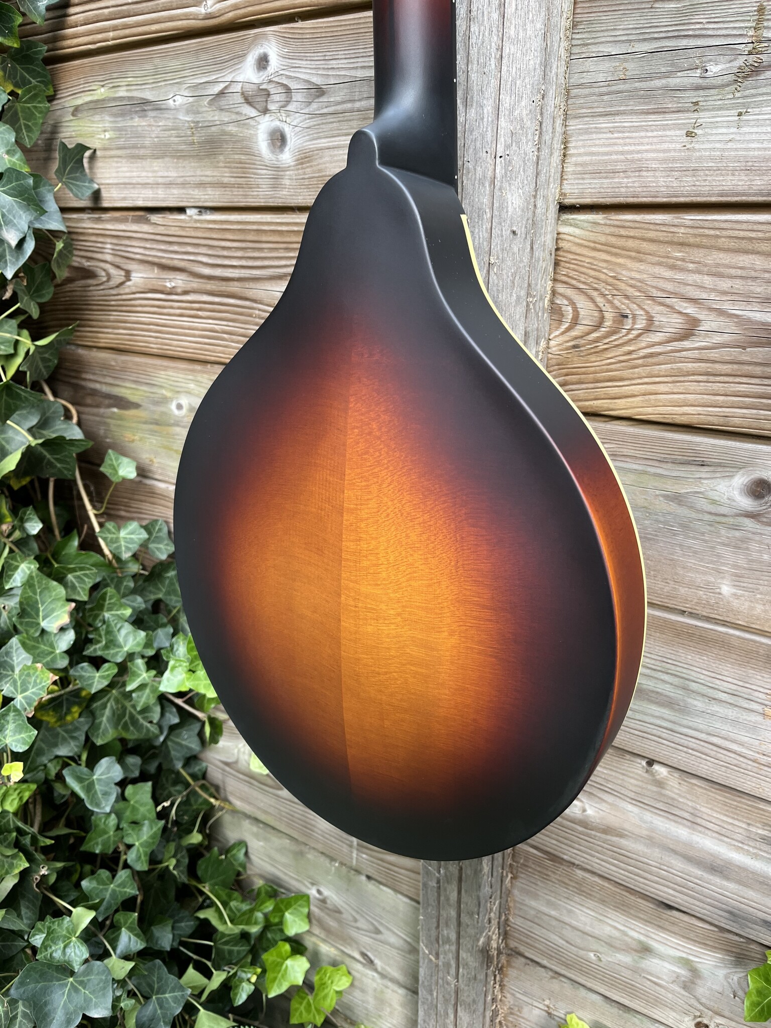 Eastman Eastman MDO305E-SB Octave Mandolin