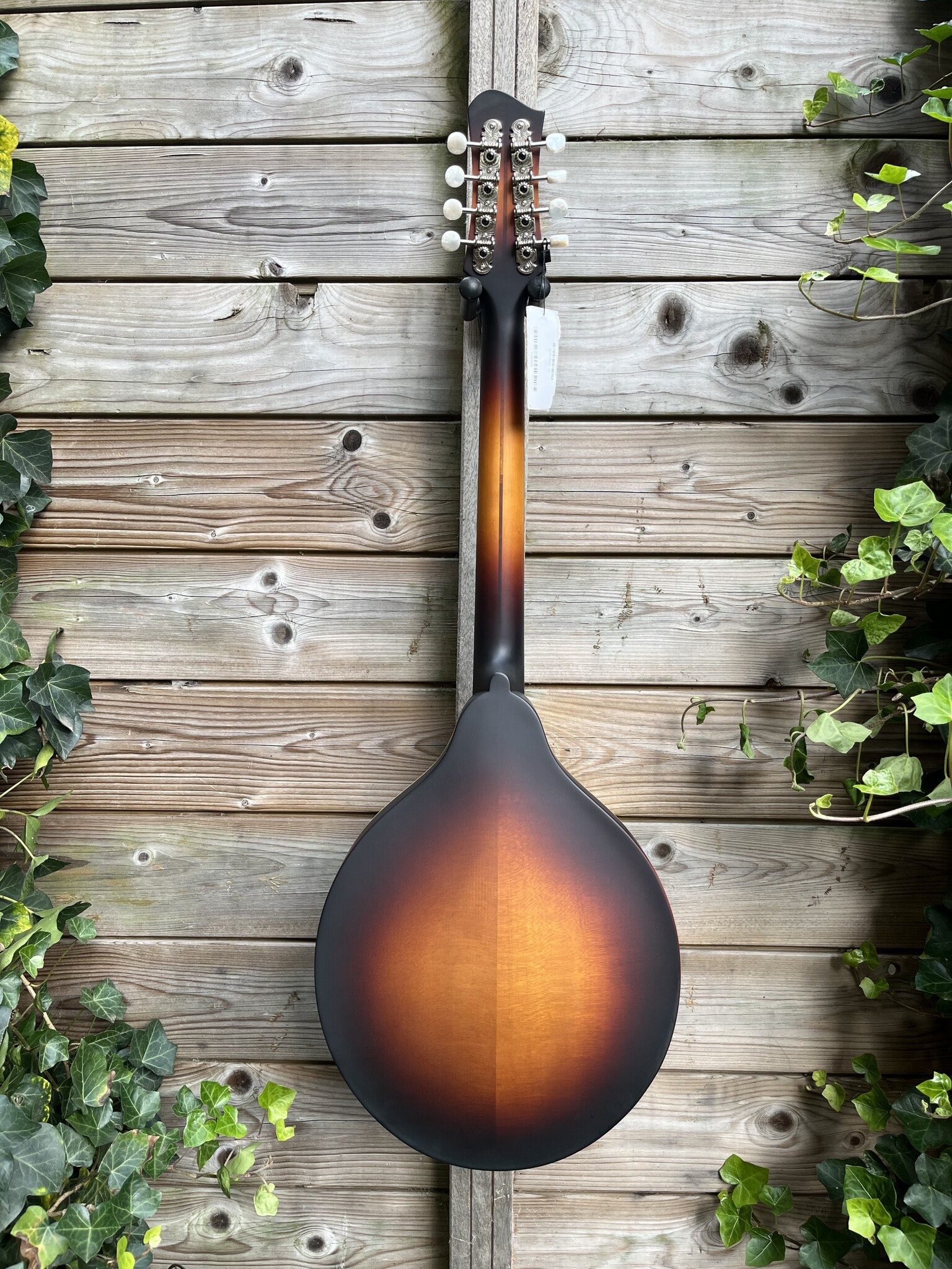 Eastman Eastman MDO305E Sunburst Octaaf Mandoline