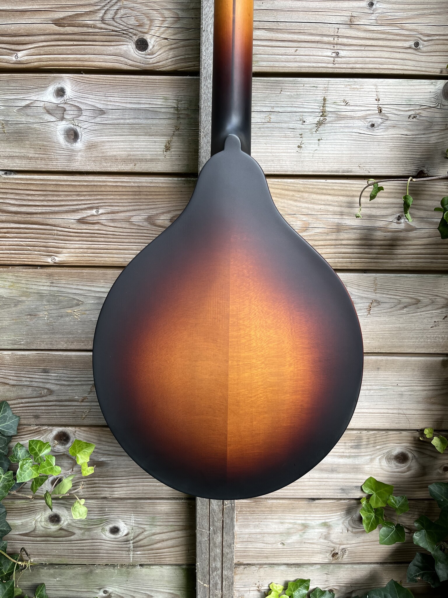 Eastman Eastman MDO305E-SB Octaaf Mandoline