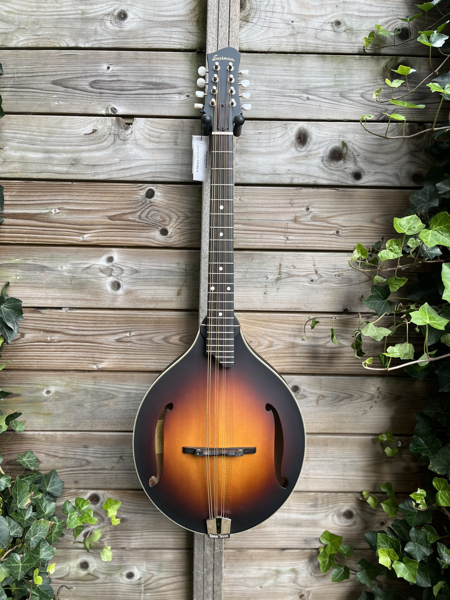Eastman Eastman MDO305E Sunburst Octaaf Mandoline