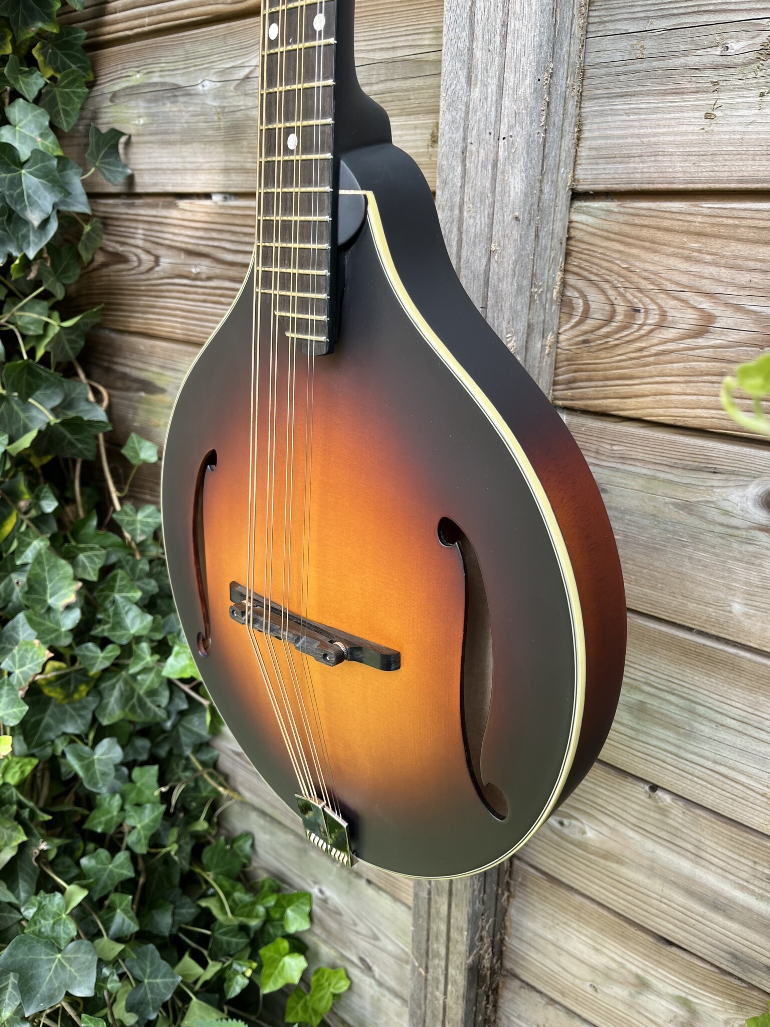 Eastman Eastman MDO305E Sunburst Octaaf Mandoline