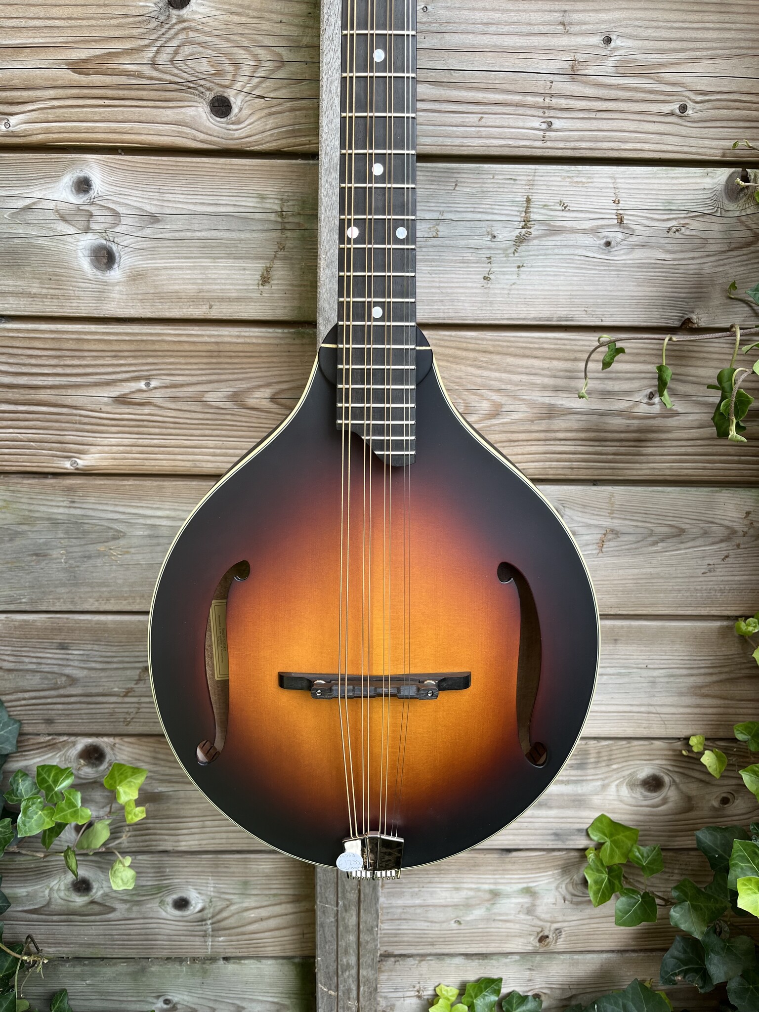 Eastman Eastman MDO305E Sunburst Octaaf Mandoline