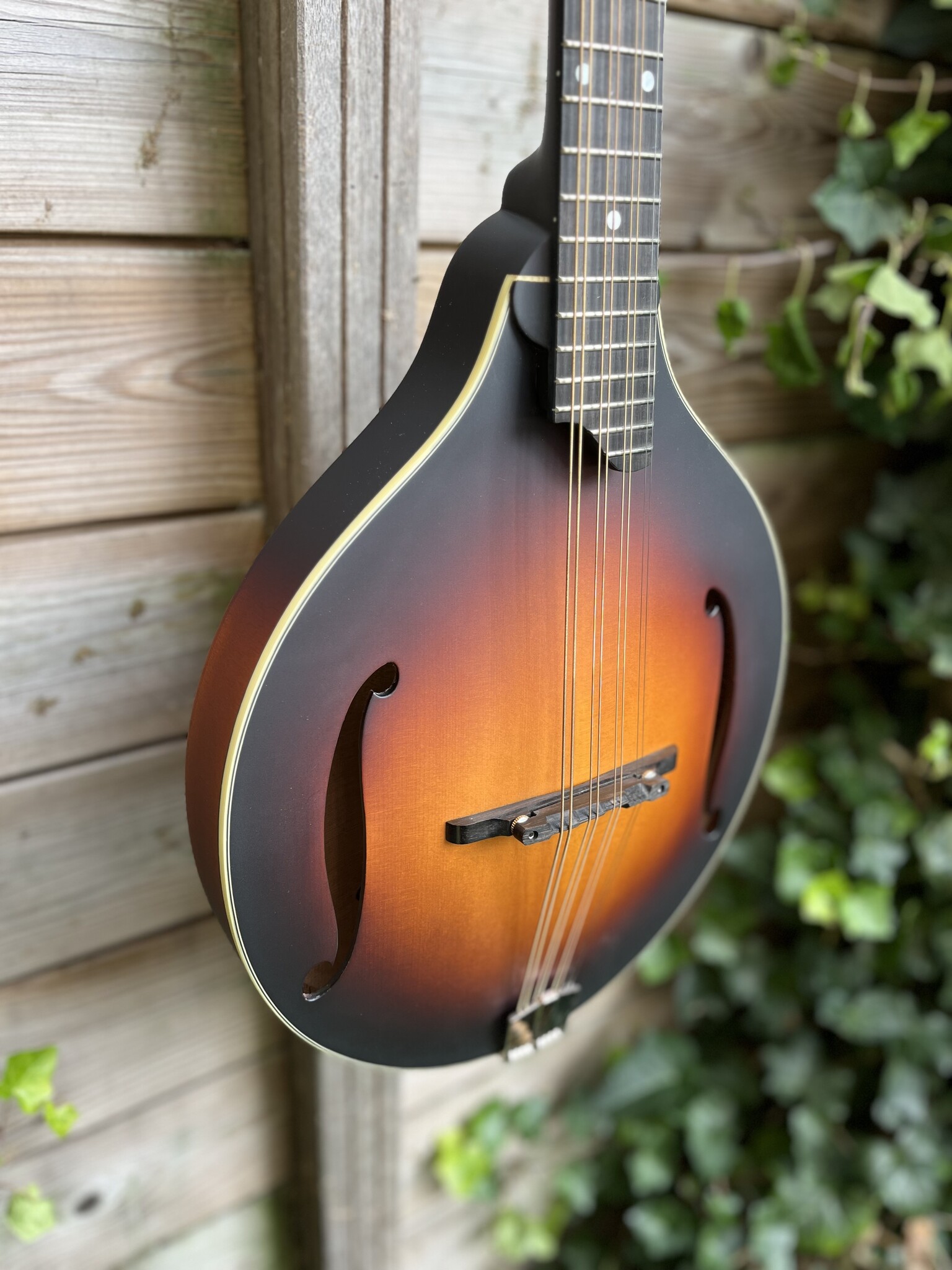 Eastman Eastman MDO305E Sunburst Octaaf Mandoline