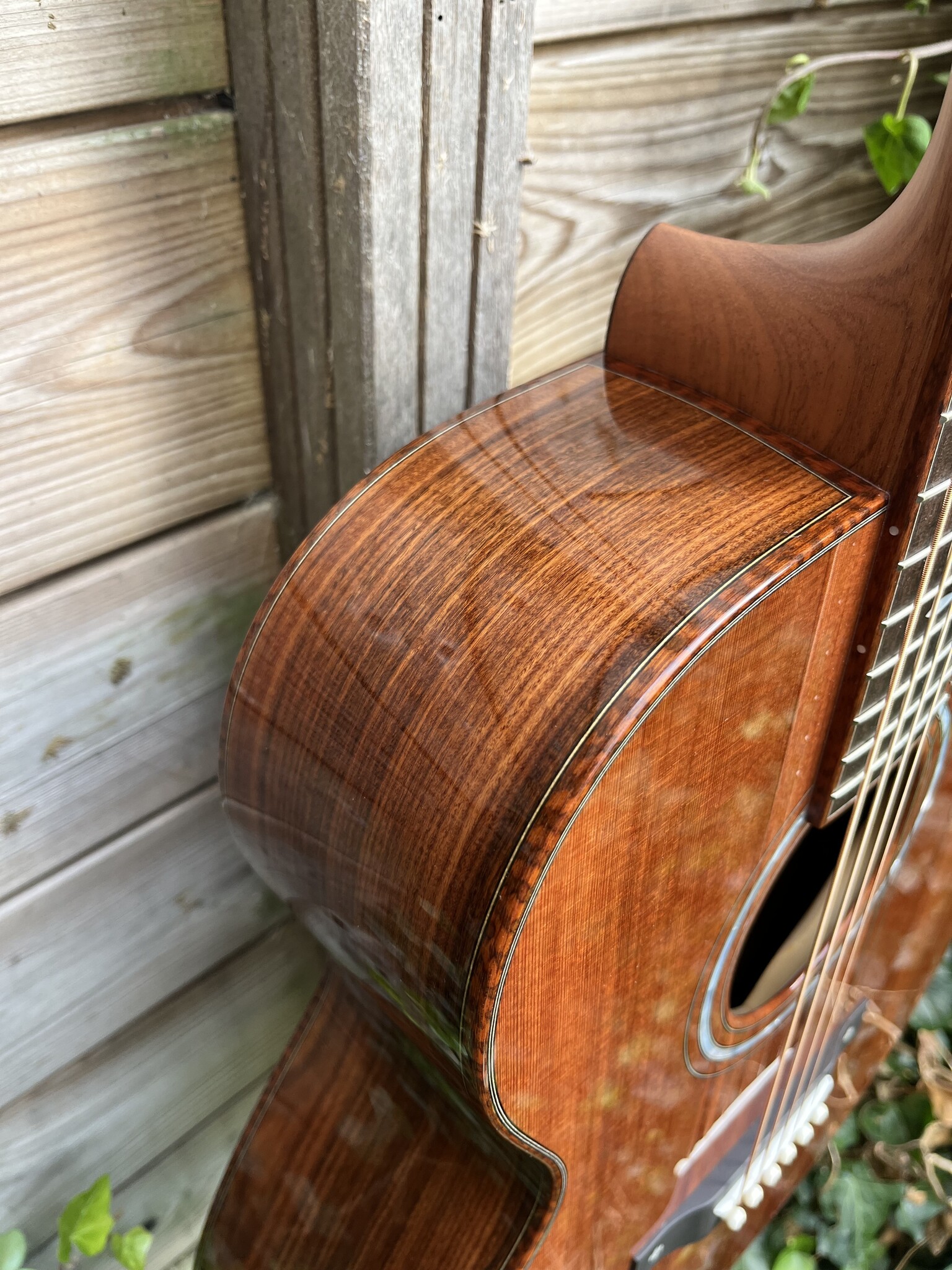 BSG BSG GA 29 F (Custom Order)