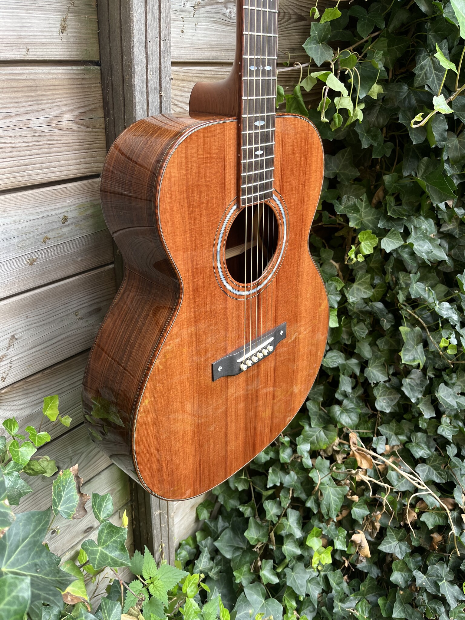 BSG BSG GA 29 F (Custom Order)