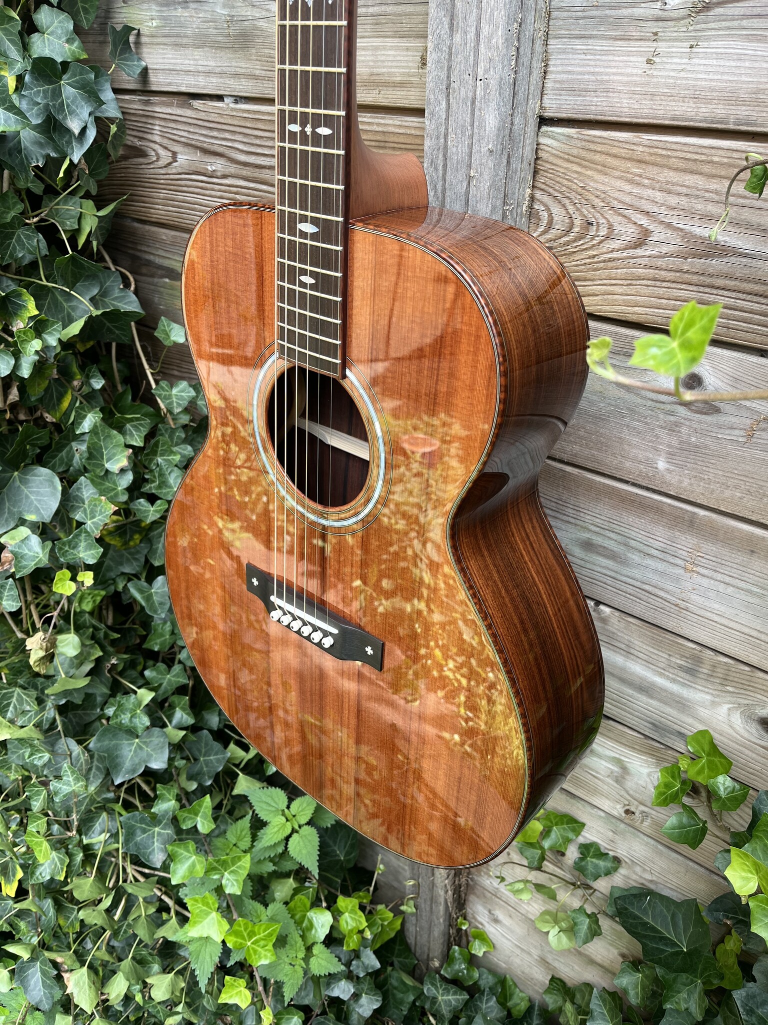 BSG BSG GA 29 F (Custom Order)