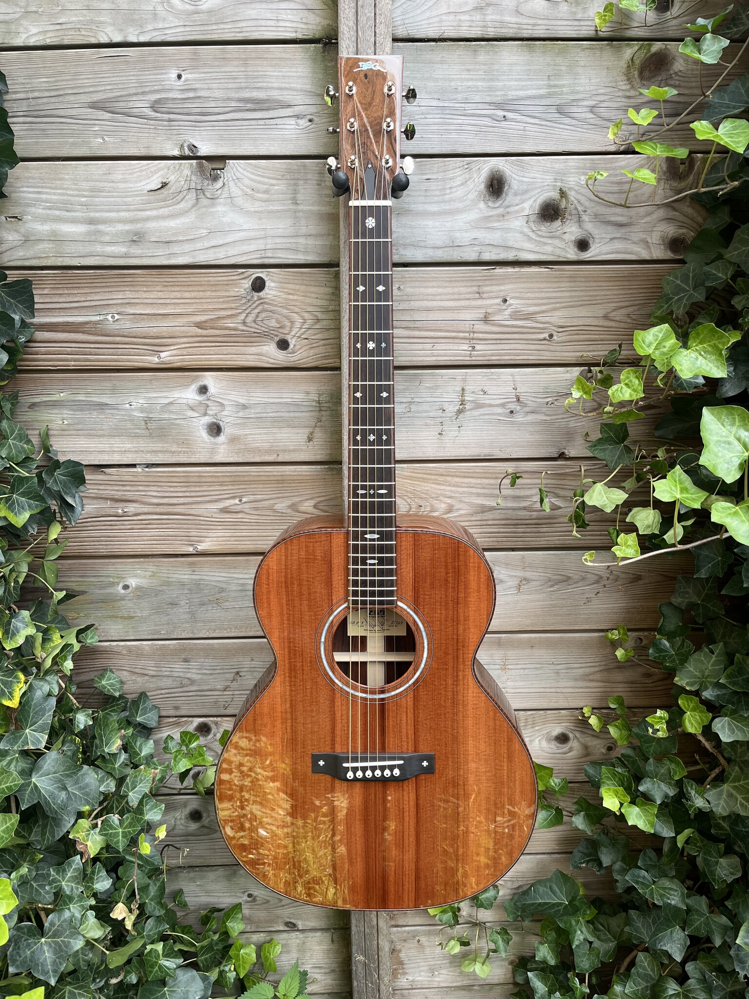 BSG BSG GA 29 F (Custom Order)