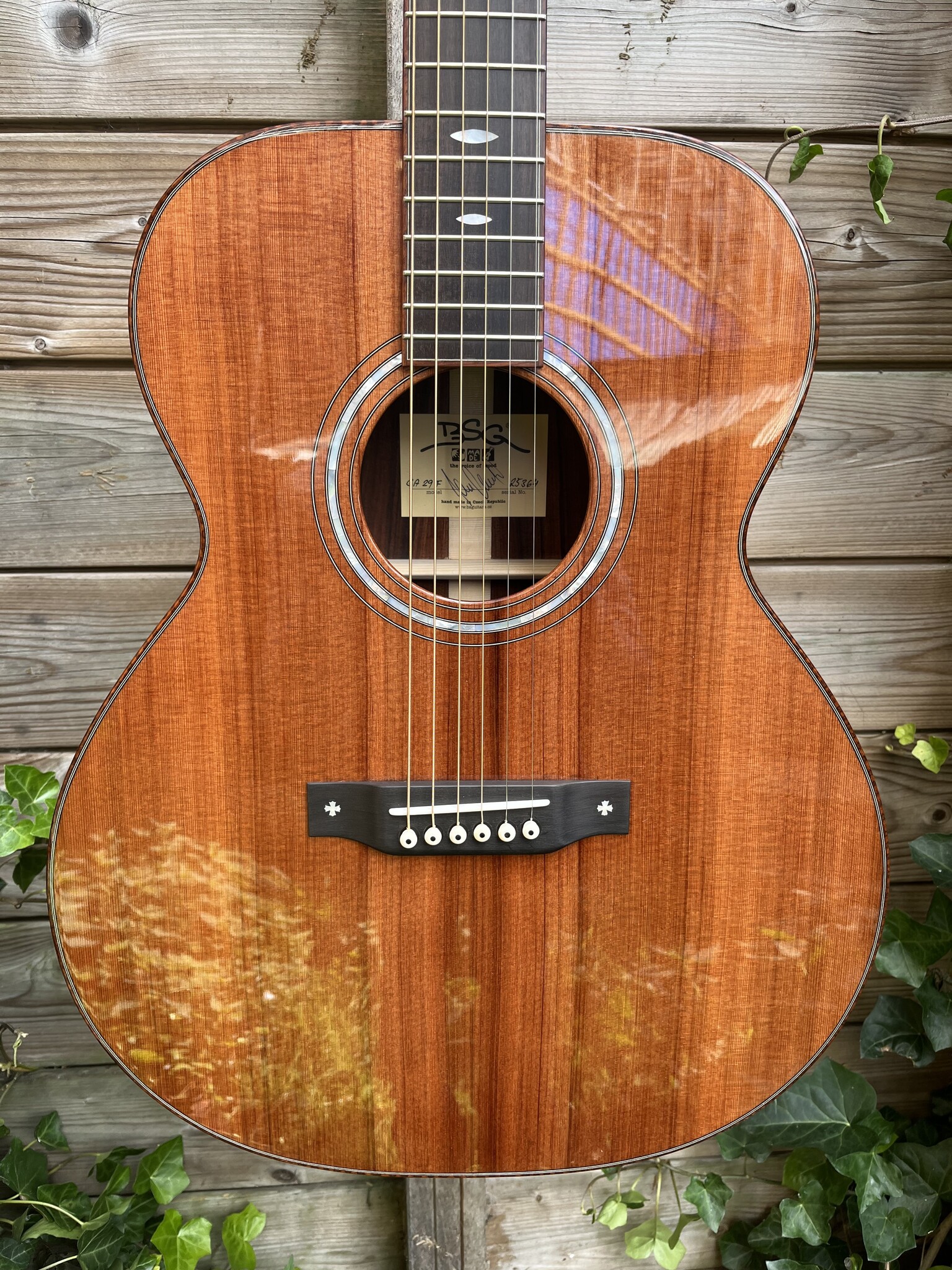 BSG BSG GA 29 F (Custom Order)