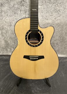 Merida Guitars Merida MP-10GCEQ-LTD