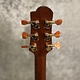 Mérida Extrema Guitars Merida MP-18GCEQ-LTD