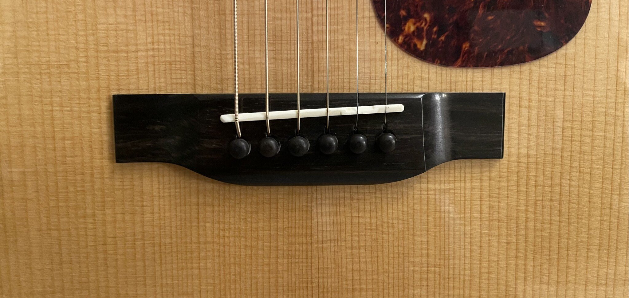 Eastman Eastman E1D-DLX