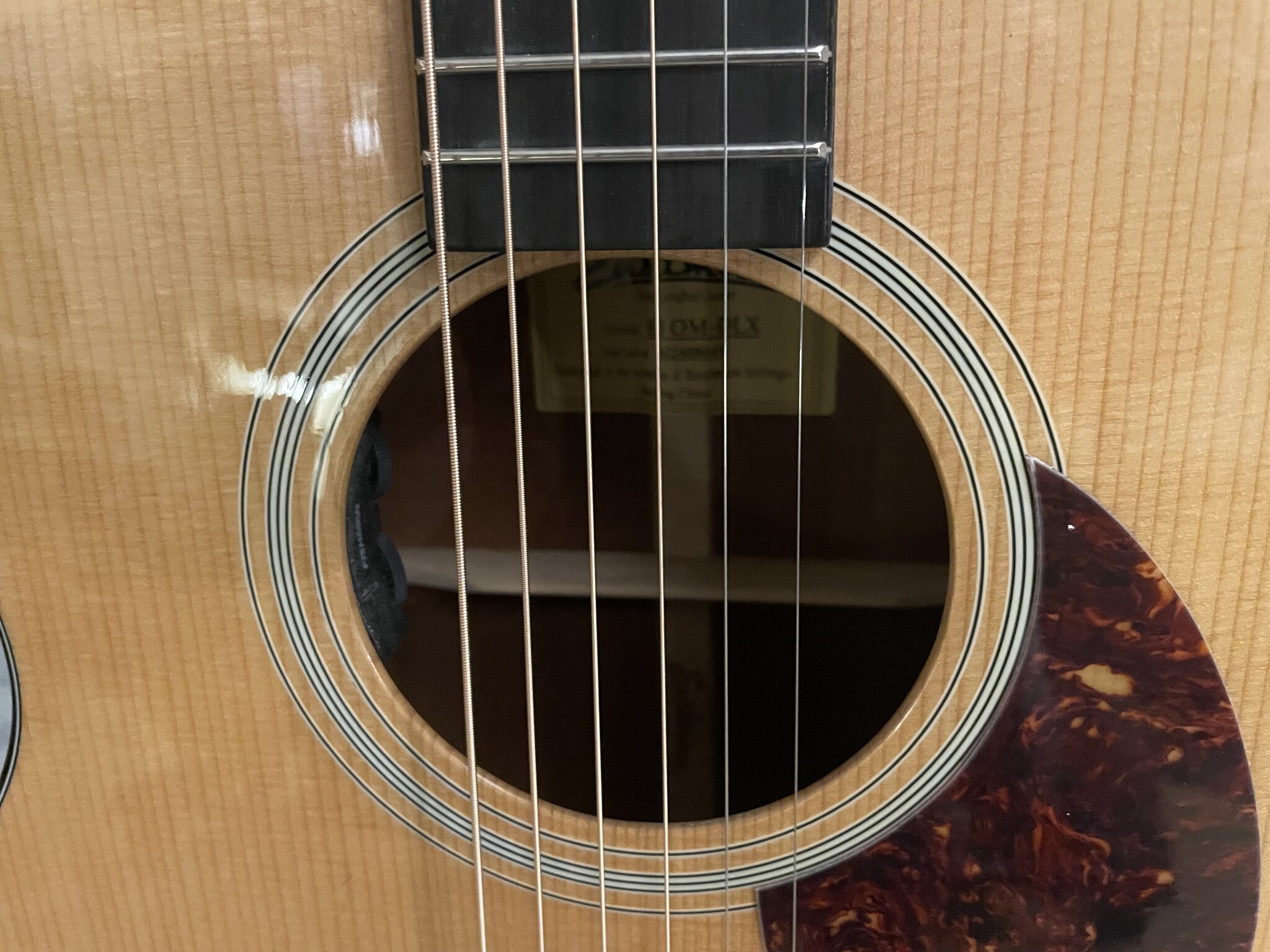 Eastman Eastman E1 OM-DLX