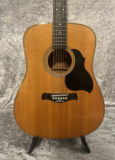 Richwood (AFGEPRIJSD!) Richwood DS-65-VA CS Master Series