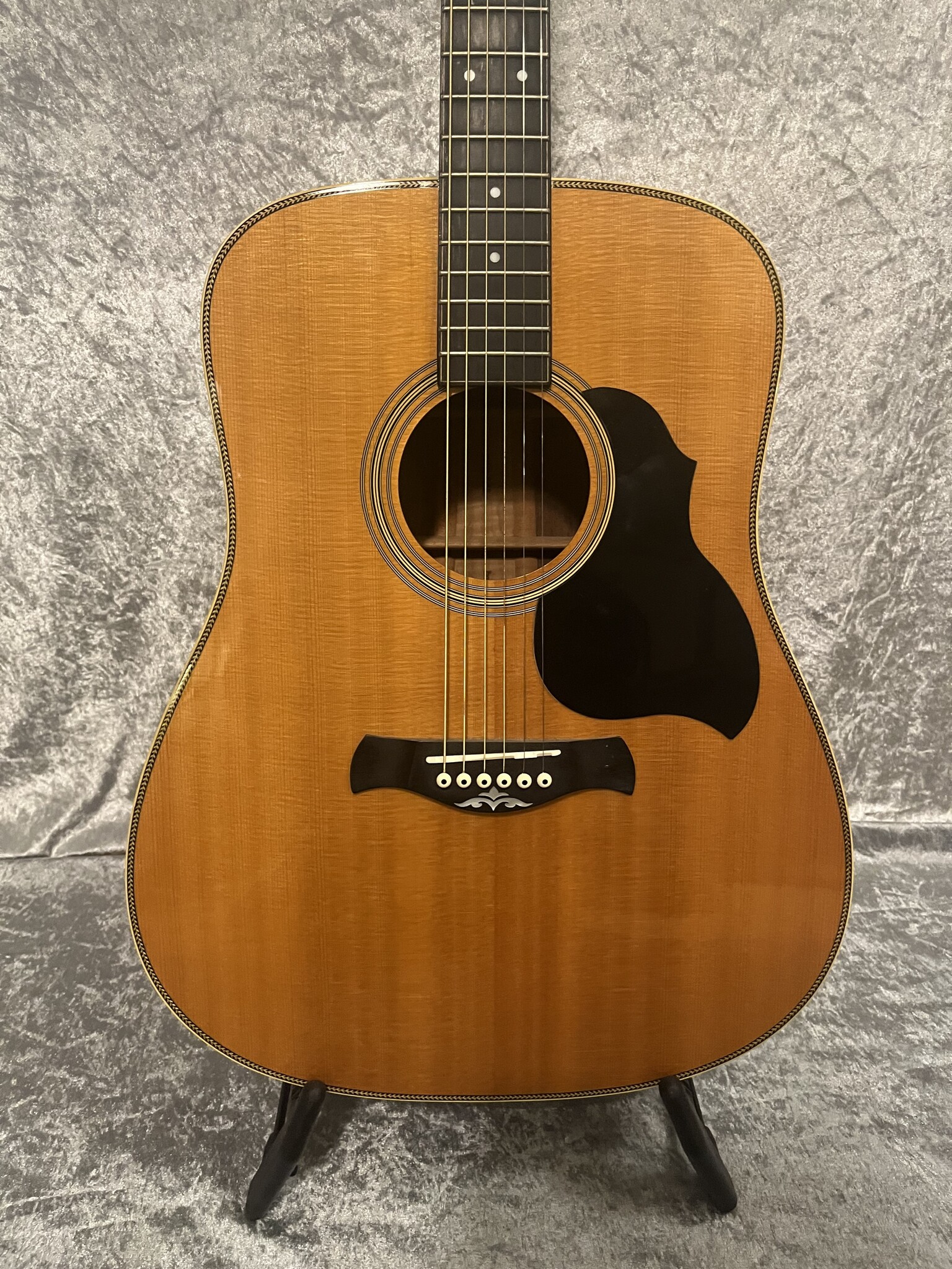 Richwood (AFGEPRIJSD!) Richwood DS-65-VA Custom Shop Master Series